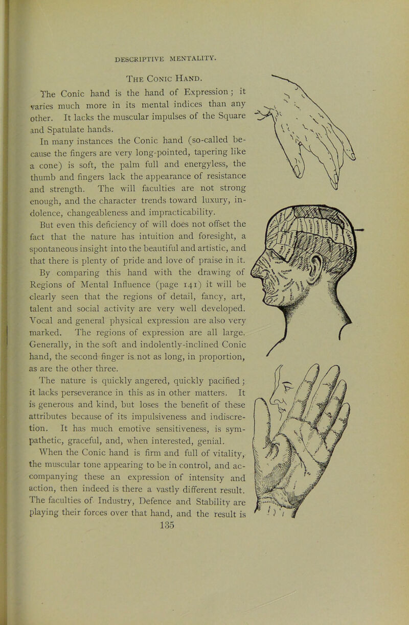 The Conic Hand. The Conic hand is the hand of Expression •, it varies much more in its mental indices than any other. It lacks the muscular impulses of the Square and Spatulate hands. In many instances the Conic hand (so-called be- cause the fingers are very long-pointed, tapering like a cone) is soft, the palm full and energyless, the thumb and fingers lack the appearance of resistance and strength. The will faculties are not strong enough, and the character trends toward luxury, in- dolence, changeableness and impracticability. But even this deficiency of will does not offset the fact that the nature has intuition and foresight, a spontaneous insight into the beautiful and artistic, and that there is plenty of pride and love of praise in it. By comparing this hand with the drawing of Regions of Mental Influence (page 141) it will be clearly seen that the regions of detail, fancy, art, talent and social activity are very well developed. Vocal and general physical expression are also very marked. The regions of expression are all large. Generally, in the soft and indolently-inclined Conic hand, the second finger is not as long, in proportion, as are the other three. The nature is quickly angered, quickly pacified; it lacks perseverance in this as in other matters. It is generous and kind, but loses the benefit of these attributes because of its impulsiveness and indiscre- tion. It has much emotive sensitiveness, is sym- pathetic, graceful, and, when interested, genial. When the Conic hand is firm and full of vitality, the muscular tone appearing to be in control, and ac- companying these an expression of intensity and action, then indeed is there a vastly different result. The faculties of Industry, Defence and Stability are playing their forces over that hand, and the result is