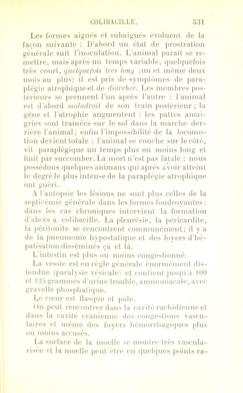 Les formes aiguës et subaiguës évoluent de la façon suivante : D’abord un état de prostration générale suit l'inoculation. L’animal paraît se re- mettre, mais après un temps variable, quelquefois très court, quelquefois très long (un et même deux mois au plus) il est pris de symptômes de para- plégie atrophique et de diarrhée. Les membres pos- térieurs se prennent l’un après l’autre : l’animal est d’abord maladroit de son train postérieur ; la gène et l’atrophie augmentent : les pattes amai- gries sont traînées sur le sol dans la marche der- rière l’animal; enfin l’impossibilité de la locomo- tion devient totale : l’animal se couche surlecôté, vit paraplégique un temps plus ou moins long et finit par succomber. La mort n’est pas fatale : nous possédons quelques animaux qui après avoir atteint le degré le plus intense de la paraplégie atrophique ont guéri. A l'autopsie les lésions ne sont plus celles de la septicémie générale dans les formes foudroyantes : dans les cas chroniques intervient la formation d'abcès à colibacille. La pleurésie, la péricardite, la péritonite se rencontrent communément; il y a de la pneumonie hypostatique et des foyers d’hé- patisation disséminés çà et là. L’intestin est plus ou moins congestionné. La vessie est en règle générale énormément dis- tendue (paralysie vésicale) et contient jusqu’à 100 et 123 grammes d’urine trouble, ammoniacale, avec gravelle phosphalique. Le cœur est flasque et pâle. On peut rencontrer dans la cavité rachidienne et dans la cavité crânienne des congestions vascu- laires et même des foyers hémorrhagiques plus ou moins accusés. La surface de la moelle se montre très vascula- risée et la moelle peut être en quelques points ra-