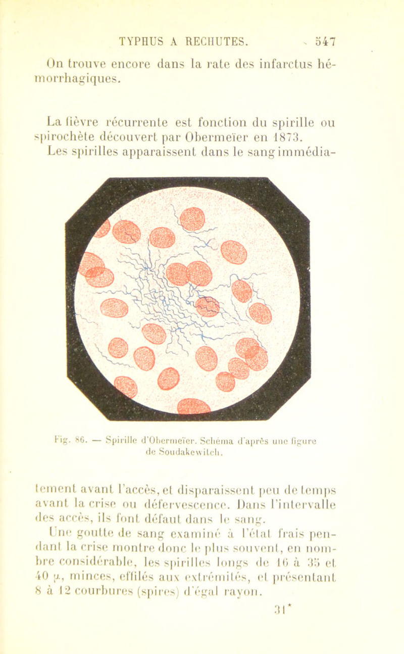 On trouve encore dans la rate des infarctus hé- morrhagiques. La fièvre récurrente est fonction du spirille ou spirochète découvert par Obermeïer en 1873. Les spirilles apparaissent dans le sang immédia- hig. 86. — Spirille d’Obermeïcr. Schéma d'après une figure de Soudakewilcli. tement avant l’accès, et disparaissent peu de temps avant la crise ou défervescence. Dans l’intervalle des accès, ils font défaut dans le sang. Une goutte de sang examiné à l’état frais pen- dant la crise montre donc le [tins souvent, en nom- bre considérable, les spirilles longs de 10 à 35 et 40 a, minces, effilés aux extrémités, et présentant 8 à 12 courbures (spires) d'égal rayon. 31*