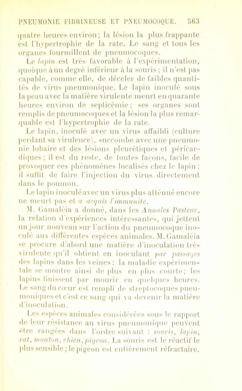 quatre heures environ; la lésion la plus frappante est l'hypertrophie de la rate. Le sang et tous les organes fourmillent de pneumocoques. Le lapin est très favorable à l’expérimentation, quoique àun degré inférieur à la souris ; il n’esl pas capable, comme elle, de déceler de faibles quanti- tés de virus pneumonique. Le lapin inoculé sous la peau avec la matière virulente meurt en quarante heures environ de septicémie; ses organes sont remplis de pneumocoques et la lésion la plus remar- quable est l'hypertrophie de la rate. Le lapin, inoculé avec un virus all'aibli (culture perdant sa virulence), succombe avec une pneumo- nie lobaire el des lésions pleurétiques et péricar- diques; il est du reste, de loutes façons, facile de provoquer ces phénomènes localisés chez le lapin : il suflit de faire l'injection du virus directement dans le poumon. Le lapin inoculé avec un virus plus atténué encore ne meurt pas et a acquis l'immunité. M. Gamaléia a donné, dans les Annales Pasteur, la relation d'expériences intéressantes, qui jeLlent un jour nouveau sur l'action du pneumocoque ino- culé aux différentes espèces animales. M. Gamaléia se procure d’abord uni! matière d'inoculation très virulente qu’il obtient en inoculant par passages îles lapins dans les veines: la maladie expérimen- tale se montre ainsi de plus en plus courte; les lapins finissent par mourir en quelques heures. Le sangducœur est rempli de streptocoques pneu- moniques et c’est ce sang qui va devenir la matière d’inoculation. Les espèces animales considérées sous le rapport de leur résistance au virus pneumonique peuvent être rangées dans l’ordre suivant : souris, lapin, rut, mouton, chien, pigeon. La souris est le réactif le plus sensible; le pigeon est entièrement réfractaire.