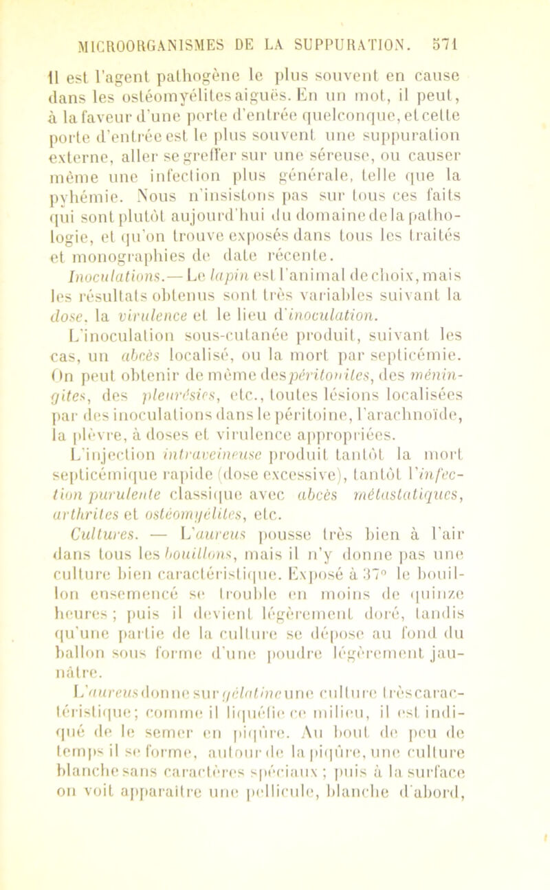 Il est l’agent pathogène le plus souvent en cause dans les ostéomyélites aiguës. En un mot, il peut, à la faveur d’une porte d’entrée quelconque, et cette porte d’entrée est le plus souvent une suppuration externe, aller se greffer sur une séreuse, ou causer même une infection plus générale, telle que la pyhémie. Nous n’insistons pas sur tous ces faits qui sont plutôt aujourd’hui du domainedela patho- logie, et qu'on trouve exposés dans tous les traités et monographies de date récente. Inoculations.— Le lapin est l’animal dechoix,mais les résultats obtenus sont très variables suivant la dose, la virulence et le lieu A'inoculation. L'inoculation sous-cutanée produit, suivant les cas, un abcès localisé, ou la mort par septicémie. On peut obtenir de même des •périton ites, des ménin- gites, des pleurésies, etc., toutes lésions localisées par des inoculations dans le péritoine, l’arachnoïde, la plèvre, à doses et virulence appropriées. L'injection intraveineuse produit tantôt la mort septicémique rapide (dose excessive), tantôt l'infec- tion purulente classique avec abcès métastatiques, arthrites et ostéomyélites, etc. Cultures. — L'aurais pousse très bien à l’air dans tous les bouillons, mais il n’y donne pas une culture bien caractéristique. Exposé à 37° le bouil- lon ensemencé se I rouble en moins de quinze heures; puis il devient légèrement doré, tandis qu’une partie de la culture se dépose au fond du ballon sous forme d’une poudre légèrement jau- nâtre. LVarewsdonnc sur y élu Un eu rie culture très carac- téristique; comme il liquéfie ce. milieu, il est indi- qué de le semer en piqûre. Au bout de peu de temps il se forme, autour de la piqûre, une culture blanche sans caractères spéciaux ; puis à la surface on voit apparaître une pellicule, blanche d'abord,