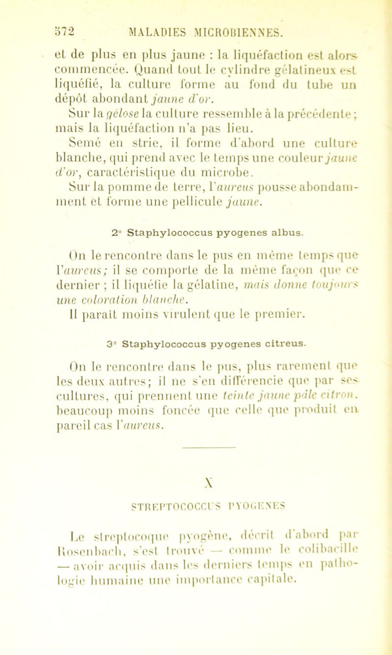eL de plus en plus jaune : la liquéfaction est alors- commencée. Quand tout le cylindre gélatineux est liquéfié, la culture forme au fond du tube un dépôt abondant jaune d'or. Sur la gélose la culture ressemble à la précédente ; mais la liquéfaction n’a pas lieu. Semé en strie, il forme d'abord une culture blanche, qui prend avec le temps une couleurjainie d'or, caractéristique du microbe. Sur la pomme de terre, Vaureus pousse abondam- ment et forme une pellicule jaune. 2“ Staphylococcus pyogenes albus. On le rencontre dans le pus en même temps que Vaureus; il se comporte de la même façon que ce dernier ; il liquéfie la gélatine, mais donne toujours une coloration blanche. Il parait moins virulent que le premier. 3° Staphylococcus pyogenes citreus. On le rencontre dans le pus, plus rarement que les deux autres; il ne s’en différencie que par ses cultures, qui prennent une teinte jaune pâle citron. beaucoup moins foncée que celle que produit en pareil cas 1 ’aurais. X STREPTOCOCCl'S PYOGENES Le streptocoque pyogène, décrit d abord par Itosenbach, s’est trouvé — comme le colibacille — avoir acquis dans les derniers temps en patho- logie humaine une importance capitale.