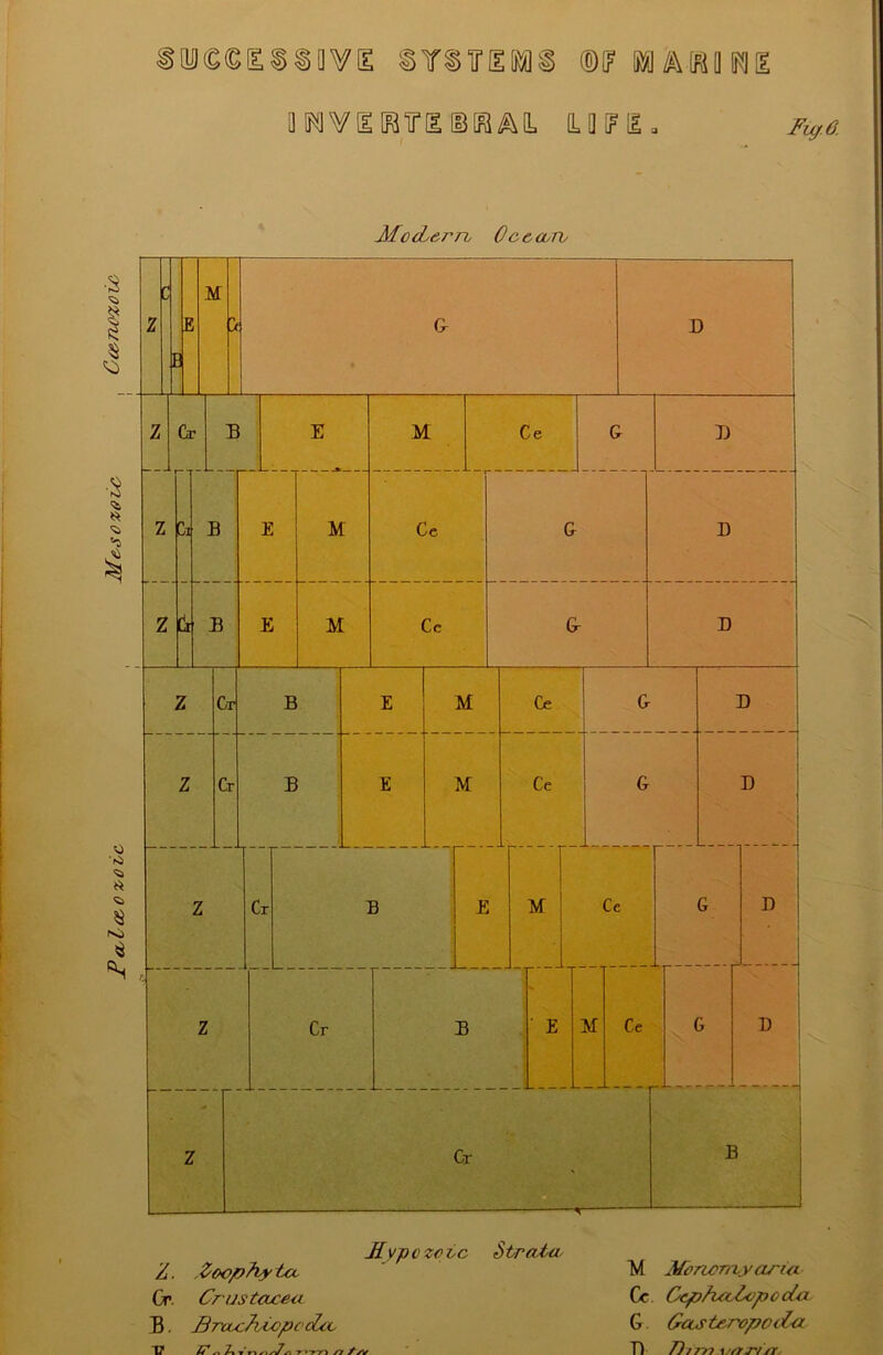 Fa^lce^oxotc Mesoxotc , Cce-TKyzoic (yc^riiiovE SY^iriiKai ®if s^^\[^ii(F!1[e aiF3VElB?[l©[l^^[L 0.0^11. FtgA Mo cLorro Oc c oorv Mypczctc Z. Zoophyta. Cr. Crustac&u B. Brax.7vicpcdytv 1/ C* ^ /I T Stroota. M Moncmyarut Cc CephaZcpoda G Gocste-ropod^ T) /?/>>? \.'fij'i/r. *-r'n yt Xyv