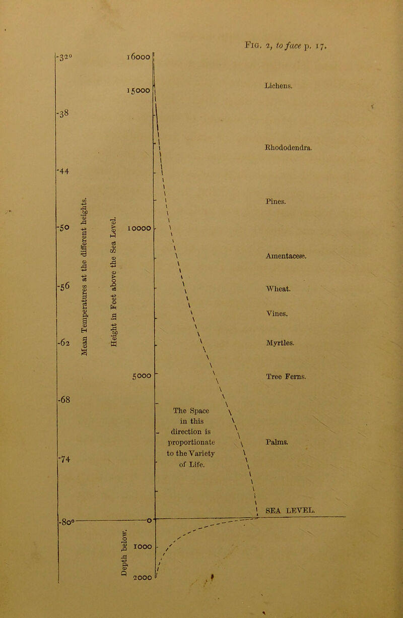 -320 i6ooo Fio. -38 -44 to 15000 ■50 > ,3 10000 -56 -62 i* d c« <0 xn CD <U I -►3 0> <1> a S 5000 -68 ■74 The Space \ in this \ direction is proportionate \ to the Variety \ of Life. \ -80°- 1000 A 0> Q 2, to face p. 17. Lichens. Khododendra. Pines. Ainentacere. Wheat. Vines. Myrtles. Tree Ferns. Palms. SEA LEVEL. 2000