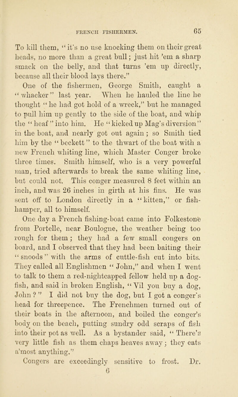 FKENCH FISHERMEN. G5 To kill them, “it's no use knocking them on their great heads, no more than a great bull; just hit ’em a sharp smack on the belly, and that turns ’em up directly, because all their blood lays there.” One of the fishermen, George Smith, caught a “whacker” last year. AYlieii he hauled the line he tliought “ he had got hold of a Mweck,” but he managed to pull him up gently to the side of the boat, and whip the “ heaf ” into him. He “kickedup Mag’s diversion” in the boat, and nearly got out again ; so Smith tied him by the “ beckett ” to the thwart of the boat with a new French whiting line, which Master Conger broke three times. Smith himself, who is a very powerful man, tried afterwards to break the same whiting line, but could not. This conger measured 8 feet within an inch, and was 26 inches in girth at his fins. He was sent off to London directly in a “kitten,” or fish- hamper, all to himself. One day a French fishing-boat came into Folkestone from Portelle, near Boulogne, the weather being too rough for them ; they had a few small congers on board, and I observed that they had been baiting their “ snoods ” with tlie arms of cuttle-fish cut into bits. They called all Englishmen “ John,” and when I went to talk to them a red-nightcapped fellow held up a dog- fish, and said in broken English, “ Vil you buy a dog, John ? ” I did not buy the dog, but I got a conger’s head for threepence. The Frenchmen turned out of their boats in the afternoon, and boiled the conger’s body on the beach, putting sundry odd scraps of fish into their pot as v/ell. As a bystander said, “There’s very little fish as them chaps heaves away; they eats a’most anything.” Congers are exceedingly sensitive to fi-ost. l)r.