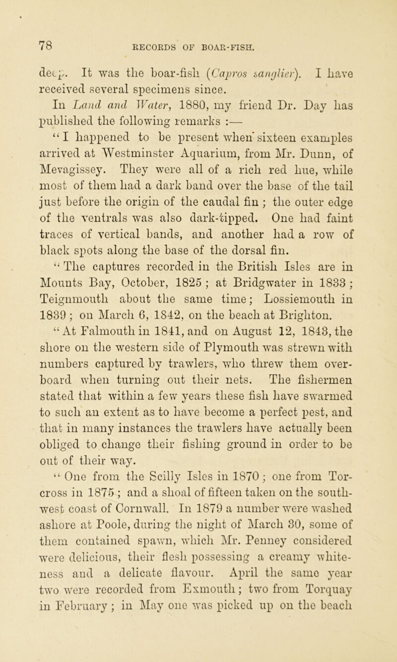 deep. It was the boar-fish [Capros sanglier). I have received several specimens since. In Land and Water, 1880, my friend Dr. Day has published the following remarks :— “I happened to he present when’sixteen examples arrived at Westminster Aquarium, from Mr. Dunn, of Mevagissey. They were all of a rich red hue, while most of them had a dark band over the base of the tail just before the origin of the caudal fin ; the outer edge of the ventrals was also dark-tipped. One had faint traces of vertical hands, and another had a row of black spots along the base of the dorsal fin. ‘‘ The captures recorded in the British Isles are in Mounts Bay, October, 1825 ; at Bridgwater in 1833 ; Teignmouth about the same time; Lossiemouth in 1839 ; on March 6, 1842, on the beach at Brighton. “At Falmouth in 1841, and on August 12, 1843, the shore on the western side of Plymouth was strewn with numbers captured by trawlers, who threw them over- board when turning out their nets. The fishermen stated that within a few years these fish have swarmed to such an extent as to have become a perfect pest, and that in many instances the trawlers have actually been obliged to change their fishing ground in order to be out of their way. “ One from the Scilly Isles in 1870; one from Tor- cross in 1875 ; and a shoal of fifteen taken on the south- west coast of Cornwall. In 1879 a number were washed ashore at Poole, during the ].iight of March 30, some of them contained spavvui, which Mr. Penney considered were delicious, their flesh possessing a creamy white- ness and a delicate flavour. April the same year- two were recorded from Exmouth; two from Torquay in February ; in May one rvas picked up on the beach