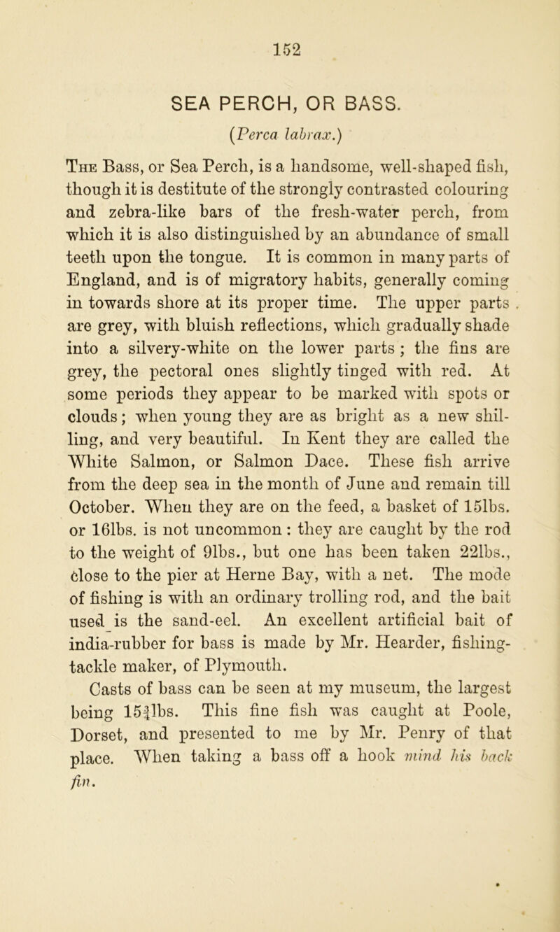 SEA PERCH, OR BASS. [Perea labmx.) The Bass, or Sea Perch, is a handsome, well-shaped fish, though it is destitute of the strongly contrasted colouring and zehra-like bars of the fresh-water perch, from which it is also distinguished by an abundance of small teeth upon the tongue. It is common in many parts of England, and is of migratory habits, generally coming in towards shore at its proper time. The upper parts . are grey, with bluish reflections, which gradually shade into a silvery-white on the lower parts ; the fins are grey, the pectoral ones slightly tinged with red. At some periods they appear to be marked with spots or clouds; when young they are as bright as a new shil- ling, and very beautiful. In Kent they are called the White Salmon, or Salmon Dace. These fish arrive from the deep sea in the month of June and remain till October. When they are on the feed, a basket of ISlbs. or IGlhs. is not uncommon: they are caught by the rod to the weight of 91bs., but one has been taken 221bs., close to the pier at Herne Bay, with a net. The mode of fishing is with an ordinary trolling rod, and the bait used is the sand-eel. An excellent artificial bait of india-rubber for bass is made by Mr. Hearder, fishing- tackle maker, of Plymouth. Casts of bass can be seen at my museum, the largest being 15|lbs. This fine fish was caught at Poole, Dorset, and presented to me by Mr. Penry of that place. When taking a bass off a hook mind Jm hack fin.