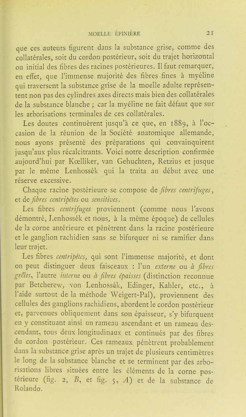 que ces auteurs figurent dans la substance grise, comme des collatérales, soit du cordon postérieur, soit du trajet horizontal ou initial des fibres des racines postérieures. Ilfaut remarquer, en effet, que rimmense majorité des fibres fines á myéline qui traverscnt la substance grise de la moelle adulte représen- tent non pas des cylindres axes directs mais bien des collatérales de la substance blanche ; car la myéline ne fait défaut que sur les arborisations terminales de ces collatérales. Les doutes continuérent jusqu’á ce que, en 1889, a l’oc- casion de la réunion de la Société anatomique allemande, nous ayons présenté des préparations qui convainquirent jusqu’aux plus récalcitrants. Voici notre description confirmée aujourd’hui par Koelliker, van Gehuchten, Retzius et jusque par le méme Lenhossék qui la traita au début avec une réserve excessive. Chaqué racine postérieure se compose át fibres centrifuges, et de fibres ceniripétes ou sensitives. Les fibres centrifuges proviennent (comme nous Lavons démontré, Lenhossék et nous^ á la méme époque) de cellules de la come antérieure et pénétrent dans la racine postérieure et le ganglion rachidien sans se bifurquer ni se ramifier dans leur trajet. Les fibres ceniripétes, qui sont Tiramense majorité, et dont on peut distinguer deux faisceaux : l’un externe ou h fibres gréles^ l’autre interne ou a fibres épaisses (distinction reconnue par Betcherew, von Lenhossék, Edinger, Kahler, etc., á l’aide surtout de la méthode Weigert-Pal), proviennent des cellules des ganglions rachidiens, abordentle cordon postérieur et, parvenúes obliquement dans son épaisseur, s’y bifurquent en y constituant ainsi un ramean ascendant et un rameau des- cendant, tous deux longitudinaux et continués par des fibres du cordon postérieur. Ces rameaux pénétrent probablement dans la substance grise aprés un trajet de plusieurs centimétres le long de la substance blanche et se terminent par des arbo- risations libres situées entre les éléments de la come pos- térieure (fig. 2, B, et fig. 5, A) et de la substance de Rolando,