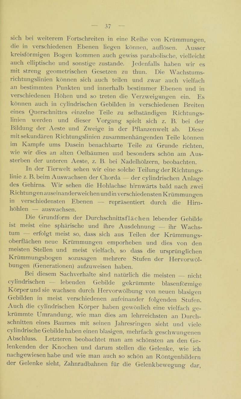 sich bei weiterem hortschreiten in eine Reihe von Krümmungen, die in verschiedenen Ebenen liegen können, auflösen. Ausser kreisförmigen Bogen kommen auch gewiss parabolische, vielleicht auch elliptische und sonstige zustande. Jedenfalls haben wir es mit streng geometrischen Gesetzen zu thuu. Die Wachstums- richtungslinien können sich auch teilen und zwar auch vielfach an bestimmten Punkten und innerhalb bestimmer Ebenen und in verschiedenen Höhen und so treten die Verzweigungen ein. Es können auch in cylindrischen Gebilden in verschiedenen Breiten eines Querschnittes einzelne Teile zu selbständigen Richtungs- linien werden und dieser Vorgang spielt sich z. B. bei der Bildung der Aeste und Zweige in der Pflanzenwelt ab. Diese mit sekundären Richtungslinien zusammenhängenden Teile können im Kampfe ums Dasein benachbarte Teile zu Grunde richten, wie wir dies an alten Oelbäumen und besonders schön am Aus- sterben der unteren Aeste, z. B. bei Nadelhölzern, beobachten. In der Tierwelt sehen wir eine solche Teilung der Richtungs- linie z. B. beim Auswachsen der Chorda — der cylindrischen Anlage des Gehirns. Wir sehen die Hohlachse hirnwärts bald nach zwei Richtungenauseinanderweichen und in verschiedensten Krümmungen in verschiedensten Ebenen -— repräsentiert durch die Hirn- höhlen — aus wachsen. Die Grundform der Durchschnittsflächen lebender Gebilde ist meist eine sphärische und ihre Ausdehnung — ihr Wachs- tum erfolgt meist so, dass sich aus d eilen der Krümmungs- oberflächen neue Krümmungen emporheben und dies von den meisten Stellen und meist vielfach, so dass die ursprünglichen Krümmungsbogen sozusagen mehrere Stufen der Hervonvöl- bungen (Generationen) aufzuweisen haben. Bei diesem Sachverhalte sind natürlich die meisten — nicht cylindrischen — lebenden Gebilde gekrümmte blasenförmige Körper und sie wachsen durch Hervorwölbung von neuen blasigen Gebilden in meist verschiedenen aufeinander folgenden Stufen. Auch die cylindrischen Körper haben gewönlich eine vielfach ge- krümmte Umrandung, wie man dies am lehrreichsten an Durch- schnitten eines Baumes mit seinen Jahresringen sieht und viele cylindrische Gebilde haben einen blasigen, mehrfach geschwungenen Abschluss. Letzteren beobachtet man am schönsten an den Ge- lenkenden der Knochen und darum stellen die Gelenke, wie ich nachgewiesen habe und wie man auch so schön an Röntgenbildern der Gelenke sieht, Zahnradbahnen für die Gelenkbewegung dar,