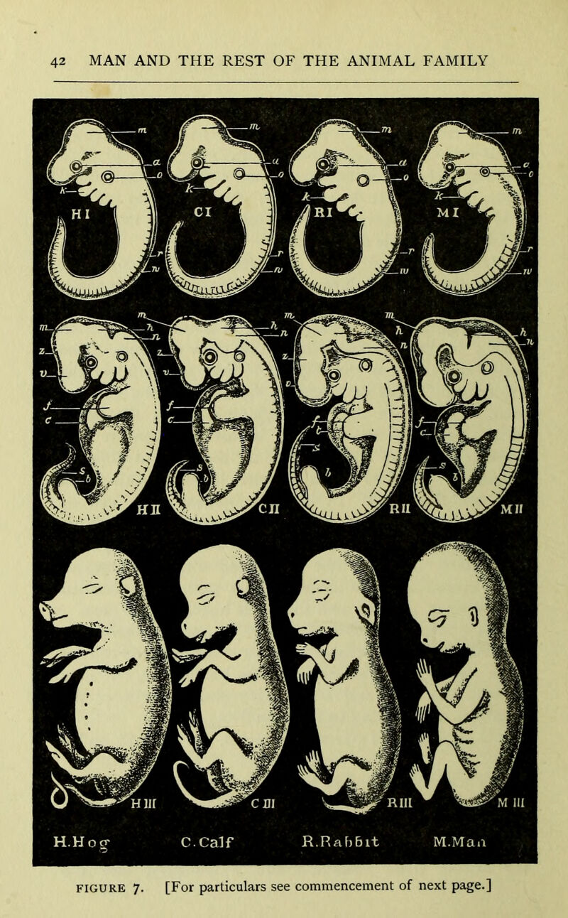 figure 7. [For particulars see commencement of next page.]