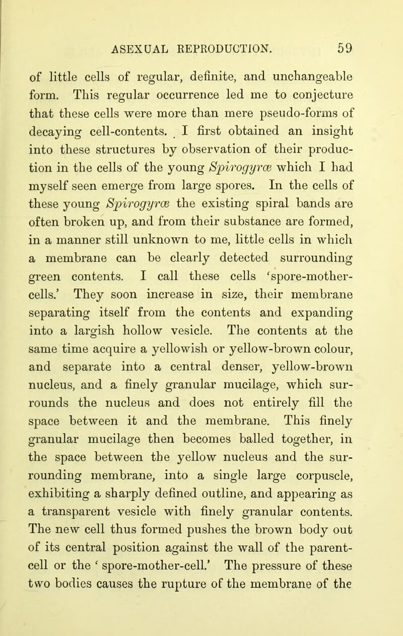 of little cells of regular, definite, and unchangeable form. This regular occurrence led me to conjecture that these cells were more than mere pseudo-forms of decaying cell-contents. I first obtained an insight into these structures by observation of their produc- tion in the cells of the young Spirogyrce which I had myself seen emerge from large spores. In the cells of these young Spirogyrce the existing spiral bands are often broken up, and from their substance are formed, in a manner still unknown to me, little cells in which a membrane can be clearly detected surrounding green contents. I call these cells ‘spore-mother- cells.’ They soon increase in size, their membrane separating itself from the contents and expanding into a largish hollow vesicle. The contents at the same time acquire a yellowish or yellow-brown colour, and separate into a central denser, yellow-brown nucleus, and a finely granular mucilage, which sur- rounds the nucleus and does not entirely fill the space between it and the membrane. This finely granular mucilage then becomes balled together, in the space between the yellow nucleus and the sur- rounding membrane, into a single large corpuscle, exhibiting a sharply defined outline, and appearing as a transparent vesicle with finely granular contents. The new cell thus formed pushes the brown body out of its central position against the wall of the parent- cell or the c spore-mother-cell.’ The pressure of these two bodies causes the rupture of the membrane of the