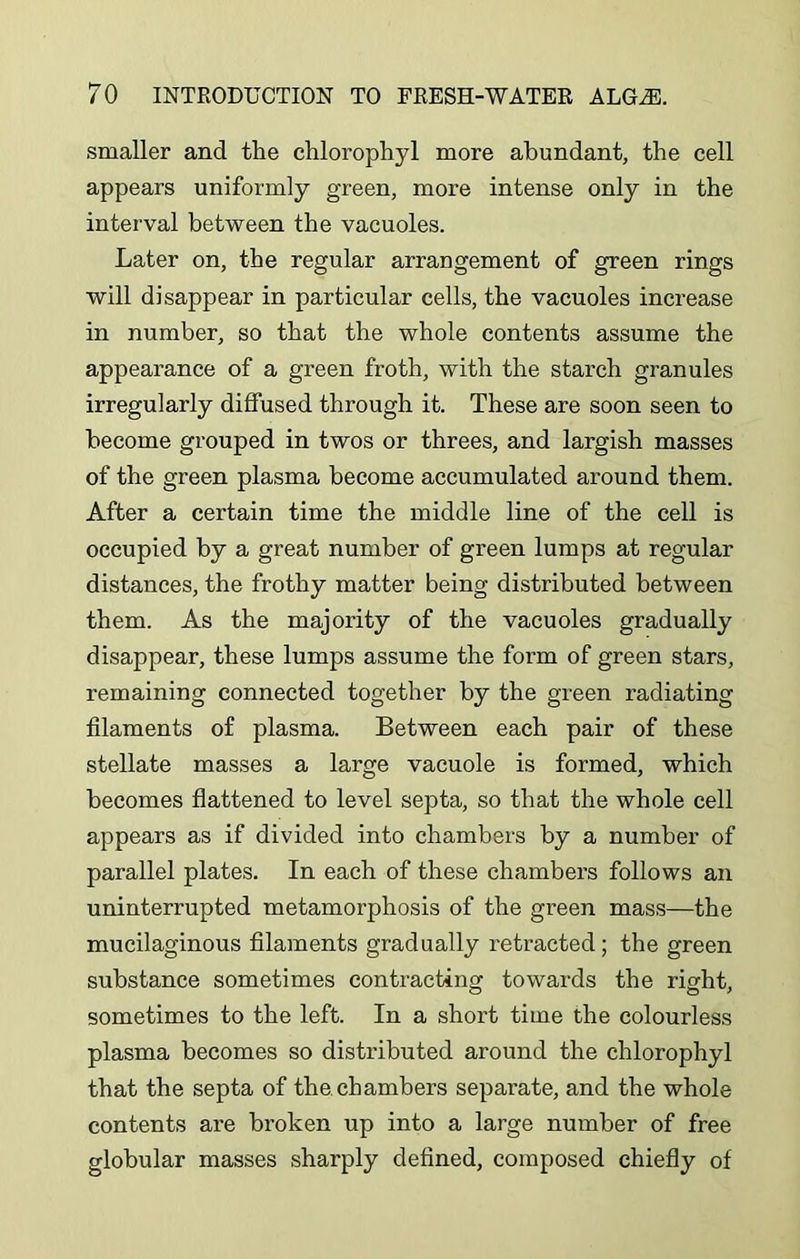 smaller and the chlorophyl more abundant, the cell appears uniformly green, more intense only in the interval between the vacuoles. Later on, the regular arrangement of green rings will disappear in particular cells, the vacuoles increase in number, so that the whole contents assume the appearance of a green froth, with the starch granules irregularly diffused through it. These are soon seen to become grouped in twos or threes, and largish masses of the green plasma become accumulated around them. After a certain time the middle line of the cell is occupied by a great number of green lumps at regular distances, the frothy matter being distributed between them. As the majority of the vacuoles gradually disappear, these lumps assume the form of green stars, remaining connected together by the green radiating filaments of plasma. Between each pair of these stellate masses a large vacuole is formed, which becomes flattened to level septa, so that the whole cell appears as if divided into chambers by a number of parallel plates. In each of these chambers follows an uninterrupted metamorphosis of the green mass—the mucilaginous filaments gradually retracted ; the green substance sometimes contracting towards the right, sometimes to the left. In a short time the colourless plasma becomes so distributed around the chlorophyl that the septa of the chambers separate, and the whole contents are broken up into a large number of free globular masses sharply defined, composed chiefly of