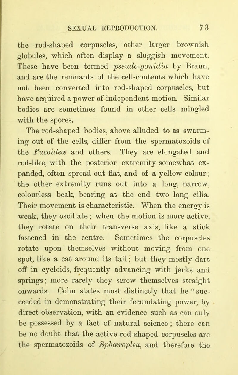 the rod-shaped corpuscles, other larger brownish globules, which often display a sluggish movement. These have been termed pseudo-gonidia by Braun, and are the remnants of the cell-contents which have not been converted into rod-shaped corpuscles, but have acquired a power of independent motion. Similar bodies are sometimes found in other cells mingled with the spores. The rod-shaped bodies, above alluded to as swarm- ing out of the cells, differ from the spermatozoids of the Fucoidece and others. They are elongated and rod-like, with the posterior extremity somewhat ex- panded, often spread out flat, and of a yellow colour; the other extremity runs out into a long, narrow, colourless beak, bearing at the end two long cilia. Their movement is characteristic. When the energy is weak, they oscillate; when the motion is more active, they rotate on their transverse axis, like a stick fastened in the centre. Sometimes the corpuscles rotate upon themselves without moving from one spot, like a cat around its tail; but they mostly dart off in cycloids, frequently advancing with jerks and springs; more rarely they screw themselves straight onwards. Cohn states most distinctly that he “ suc- ceeded in demonstrating their fecundating power, by direct observation, with an evidence such as can only be possessed by a fact of natural science; there can be no doubt that the active rod-shaped corpuscles are the spermatozoids of Sphceroplea, and therefore the