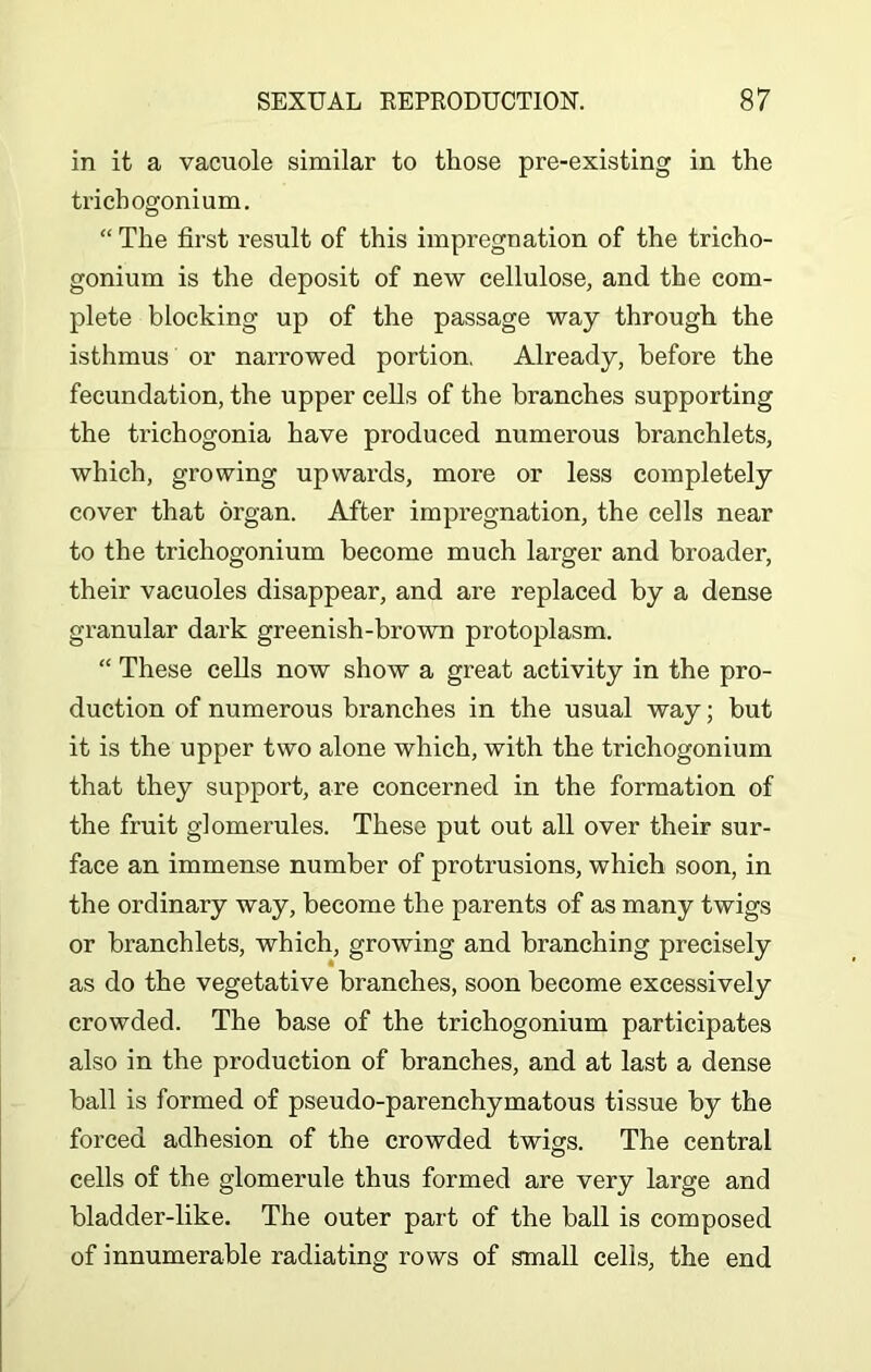 in it a vacuole similar to those pre-existing in the trichogonium. “ The first result of this impregnation of the tricho- gonium is the deposit of new cellulose, and the com- plete blocking up of the passage way through the isthmus or narrowed portion. Already, before the fecundation, the upper cells of the branches supporting the trichogonia have produced numerous branchlets, which, growing upwards, more or less completely cover that organ. After impregnation, the cells near to the trichogonium become much larger and broader, their vacuoles disappear, and are replaced by a dense granular dark greenish-brown protoplasm. “ These cells now show a great activity in the pro- duction of numerous branches in the usual way; but it is the upper two alone which, with the trichogonium that they support, are concerned in the formation of the fruit glomerules. These put out all over their sur- face an immense number of protrusions, which soon, in the ordinary way, become the parents of as many twigs or branchlets, which, growing and branching precisely as do the vegetative branches, soon become excessively crowded. The base of the trichogonium participates also in the production of branches, and at last a dense ball is formed of pseudo-parenchymatous tissue by the forced adhesion of the crowded twigs. The central cells of the glomerule thus formed are very large and bladder-like. The outer part of the ball is composed of innumerable radiating rows of small cells, the end