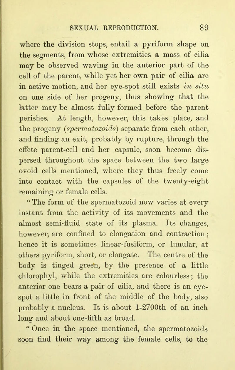 where the division stops, entail a pyriform shape on the segments, from whose extremities a mass of cilia may be observed waving in the anterior part of the cell of the parent, while yet her own pair of cilia are in active motion, and her eye-spot still exists in situ on one side of her progeny, thus showing that the latter may be almost fully fonned before the parent perishes. At length, however, this takes place, and the progeny (sperma tozoids) separate from each other, and finding an exit, probably by rupture, through the effete parent-cell and her capsule, soon become dis- persed throughout the space between the two large ovoid cells mentioned, where they thus freely come into contact with the capsules of the twenty-eight remaining or female cells. “ The form of the spermatozoid now varies at every instant from the activity of its movements and the almost semi-fluid state of its plasma. Its changes, however, are confined to elongation and contraction; hence it is sometimes linear-fusiform, or lunular, at others pyriform, short, or elongate. The centre of the body is tinged greefn, by the presence of a little chlorophyl, while the extremities are colourless; the anterior one bears a pair of cilia, and there is an eye- spot a little in front of the middle of the body, also probably a nucleus. It is about 1-2700th of an inch long and about one-fifth as broad. “ Once in the space mentioned, the spermatozoids soon find their way among the female cells, to the