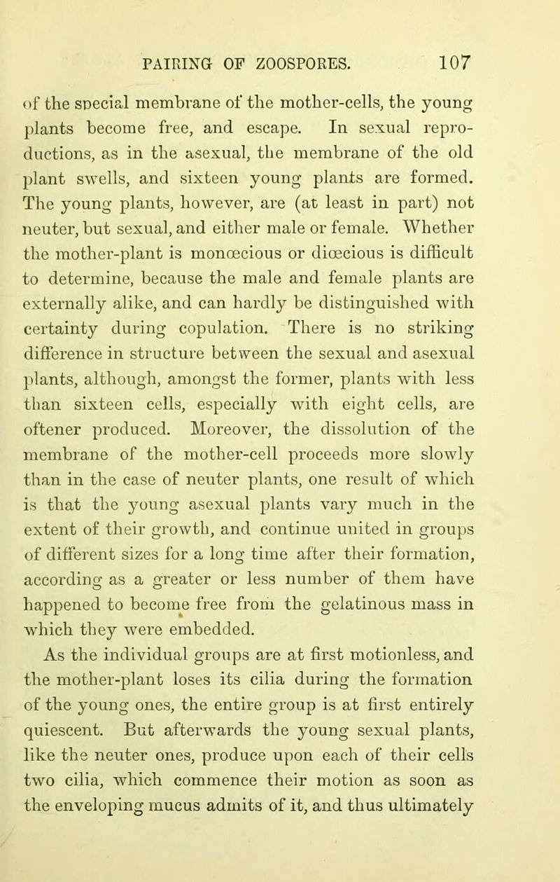 of the special membrane of the mother-cells, the young plants become free, and escape. In sexual repro- ductions, as in the asexual, the membrane of the old plant swells, and sixteen young plants are formed. The young plants, however, are (at least in part) not neuter, but sexual, and either male or female. Whether the mother-plant is monoecious or dioecious is difficult to determine, because the male and female plants are externally alike, and can hardly be distinguished with certainty during copulation. There is no striking difference in structure between the sexual and asexual plants, although, amongst the former, plants with less than sixteen cells, especially with eight cells, are oftener produced. Moreover, the dissolution of the membrane of the mother-cell proceeds more slowly than in the case of neuter plants, one result of which is that the youug asexual plants vary much in the extent of their growth, and continue united in groups of different sizes for a long time after their formation, according as a greater or less number of them have happened to become free from the gelatinous mass in which they were embedded. As the individual groups are at first motionless, and the mother-plant loses its cilia during the formation of the young ones, the entire group is at first entirely quiescent. But afterwards the young sexual plants, like the neuter ones, produce upon each of their cells two cilia, which commence their motion as soon as the enveloping mucus admits of it, and thus ultimately