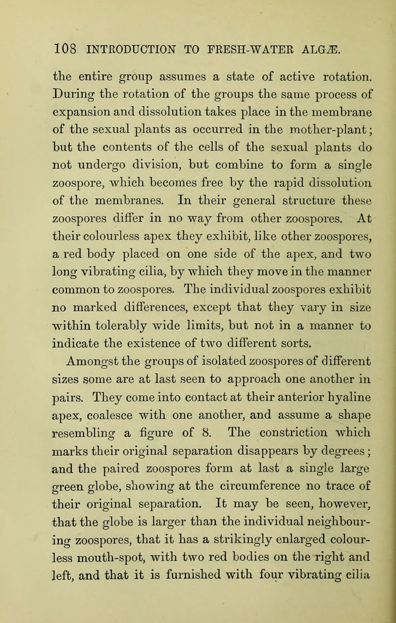 the entire group assumes a state of active rotation. During the rotation of the groups the same process of expansion and dissolution takes place in the membrane of the sexual plants as occurred in the mother-plant; but the contents of the cells of the sexual plants do not undergo division, but combine to form a single zoospore, which becomes free by the rapid dissolution of the membranes. In their general structure these zoospores differ in no way from other zoospores. At their colourless apex they exhibit, like other zoospores, a red body placed on one side of the apex, and two long vibrating cilia, by which they move in the manner common to zoospores. The individual zoospores exhibit no marked differences, except that they vary in size within tolerably wide limits, but not in a manner to indicate the existence of two different sorts. Amongst the groups of isolated zoospores of different sizes some are at last seen to approach one another in pairs. They come into contact at their anterior hyaline apex, coalesce with one another, and assume a shape resembling a figure of 8. The constriction which marks their original separation disappears by degrees; and the paired zoospores form at last a single large green globe, showing at the circumference no trace of their original separation. It may be seen, however, that the globe is larger than the individual neighbour- ing zoospores, that it has a strikingly enlarged colour- less mouth-spot, with two red bodies on the right and left, and that it is furnished with four vibrating cilia