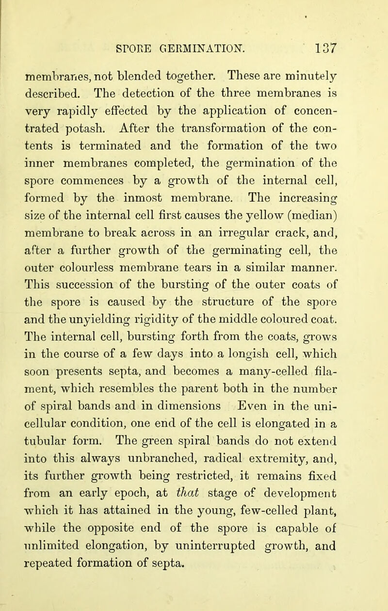 membranes, not blended together. These are minutely described. The detection of the three membranes is very rapidly effected by the application of concen- trated potash. After the transformation of the con- tents is terminated and the formation of the two inner membranes completed, the germination of the spore commences by a growth of the internal cell, formed by the inmost membrane. The increasing size of the internal cell first causes the yellow (median) membrane to break across in an irregular crack, and, after a further growth of the germinating cell, the outer colourless membrane tears in a similar manner. This succession of the bursting of the outer coats of the spore is caused by the structure of the spore and the unyielding rigidity of the middle coloured coat. The internal cell, bursting forth from the coats, grows in the course of a few days into a longish cell, which soon presents septa, and becomes a many-celled fila- ment, which resembles the parent both in the number of spiral bands and in dimensions Even in the uni- cellular condition, one end of the cell is elongated in a tubular form. The green spiral bands do not extend into this always unbranched, radical extremity, and, its further growth being restricted, it remains fixed from an early epoch, at that stage of development which it has attained in the young, few-celled plant, while the opposite end of the spore is capable of unlimited elongation, by uninterrupted growth, and repeated formation of septa.