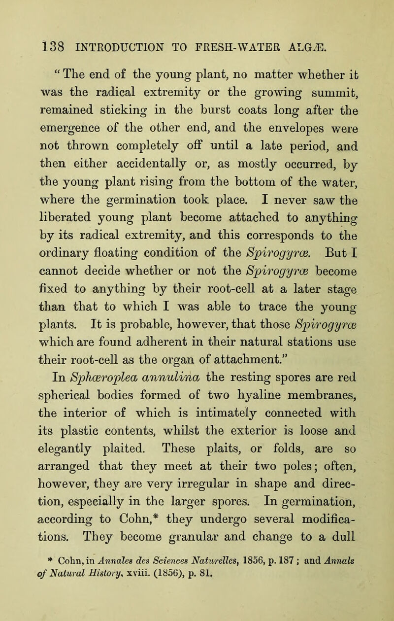 “ The end of the young plant, no matter whether it was the radical extremity or the growing summit, remained sticking in the burst coats long after the emergence of the other end, and the envelopes were not thrown completely off until a late period, and then either accidentally or, as mostly occurred, by the young plant rising from the bottom of the water, where the germination took place. I never saw the liberated young plant become attached to anything by its radical extremity, and this corresponds to the ordinary floating condition of the Spirogyrce. But I cannot decide whether or not the Spirogyrce become fixed to anything by their root-cell at a later stage than that to which I was able to trace the young plants. It is probable, however, that those Spirogyrce which are found adherent in their natural stations use their root-cell as the organ of attachment.” In SphcBroplea annulina the resting spores are red spherical bodies formed of two hyaline membranes, the interior of which is intimately connected with its plastic contents, whilst the exterior is loose and elegantly plaited. These plaits, or folds, are so arranged that they meet at their two poles; often, however, they are very irregular in shape and direc- tion, especially in the larger spores. In germination, according to Cohn,* they undergo several modifica- tions. They become granular and change to a dull * Cohn, in Annales des Sciences Naturelles, 1856, p. 187 ; and Annals of Natural History, xviii. (1856), p. 81.