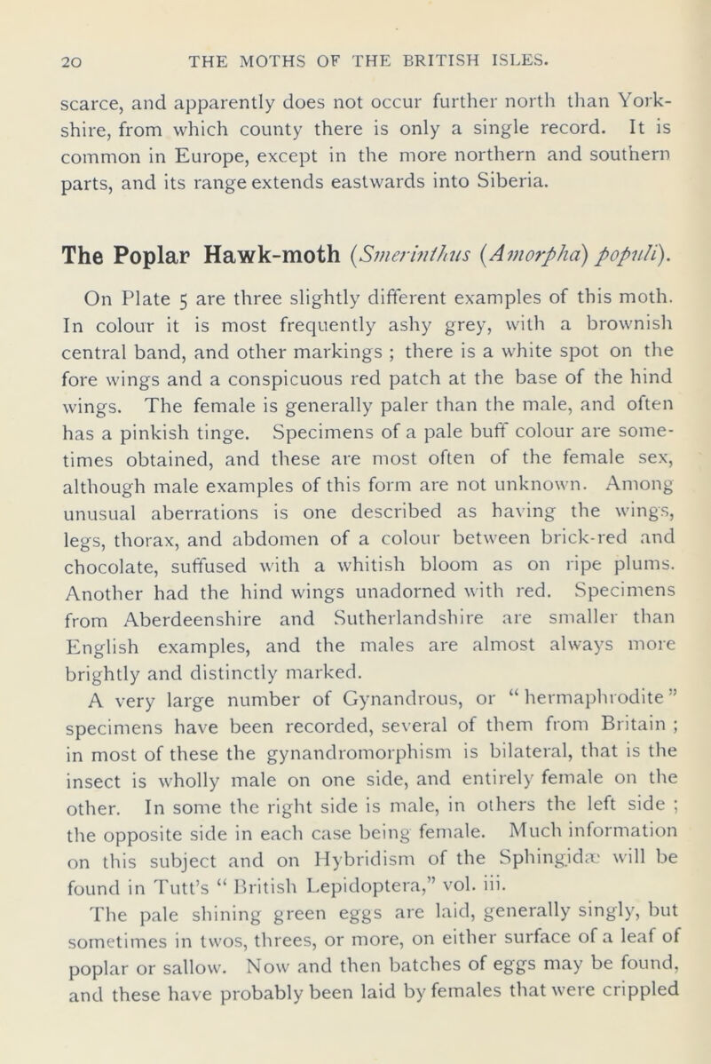 scarce, and apparently does not occur further north than York- shire, from which county there is only a single record. It is common in Europe, except in the more northern and southern parts, and its range extends eastwards into Siberia. The Poplar Hawk-moth (,Smerinthus (Amorpha) poputi). On Plate 5 are three slightly different examples of this moth. In colour it is most frequently ashy grey, with a brownish central band, and other markings ; there is a white spot on the fore wings and a conspicuous red patch at the base of the hind wings. The female is generally paler than the male, and often has a pinkish tinge. Specimens of a pale buff colour are some- times obtained, and these are most often of the female sex, although male examples of this form are not unknown. Among unusual aberrations is one described as having the wings, legs, thorax, and abdomen of a colour between brick-red and chocolate, suffused with a whitish bloom as on ripe plums. Another had the hind wings unadorned with red. Specimens from Aberdeenshire and Sutherland shire are smaller than English examples, and the males are almost always more brightly and distinctly marked. A very large number of Gynandrous, or “ hermaphrodite ” specimens have been recorded, several of them from Britain ; in most of these the gynandromorphism is bilateral, that is the insect is wholly male on one side, and entirely female on the other. In some the right side is male, in others the left side ; the opposite side in each case being female. Much information on this subject and on Hybridism of the Sphingidae will be found in Tutt’s “ British Lepidoptera,” vol. iii. The pale shining green eggs are laid, generally singly, but sometimes in twos, threes, or more, on either surface of a leaf of poplar or sallow. Now and then batches of eggs may be found, and these have probably been laid by females that were crippled