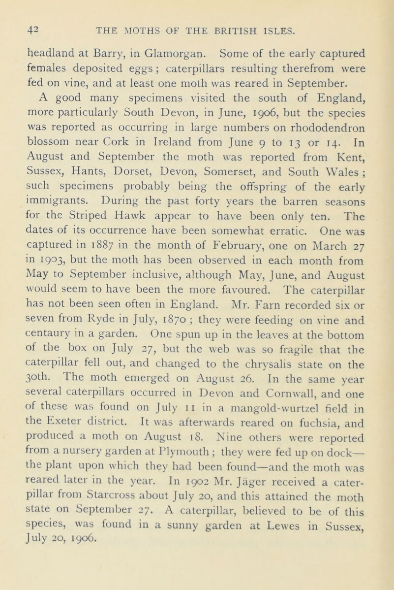 headland at Barry, in Glamorgan. Some of the early captured females deposited eggs ; caterpillars resulting therefrom were fed on vine, and at least one moth was reared in September. A good many specimens visited the south of England, more particularly South Devon, in June, 1906, but the species was reported as occurring in large numbers on rhododendron blossom near Cork in Ireland from June 9 to 13 or 14. In August and September the moth was reported from Kent, Sussex, Hants, Dorset, Devon, Somerset, and South Wales ; such specimens probably being the offspring of the early immigrants. During the past forty years the barren seasons for the Striped Hawk appear to have been only ten. The dates of its occurrence have been somewhat erratic. One was captured in 1887 in the month of February, one on March 27 in 1903, but the moth has been observed in each month from May to September inclusive, although May, June, and August would seem to have been the more favoured. The caterpillar has not been seen often in England. Mr. Farn recorded six or seven from Ryde in July, 1870 ; they were feeding on vine and centaury in a garden. One spun up in the leaves at the bottom of the box on July 27, but the web was so fragile that the caterpillar fell out, and changed to the chrysalis state on the 30th. 1 he moth emerged on August 26. In the same year several caterpillars occurred in Devon and Cornwall, and one of these was found on July 11 in a mangold-wurtzel field in the Exeter district. It was afterwards reared on fuchsia, and produced a moth on August 18. Nine others were reported from a nursery garden at Plymouth ; they were fed up on dock— the plant upon which they had been found—and the moth was reared later in the year. In 1902 Mr. Jager received a cater- pillar from Starcross about July 20, and this attained the moth state on September 27. A caterpillar, believed to be of this species, was found in a sunny garden at Lewes in Sussex, July 20, 1906.