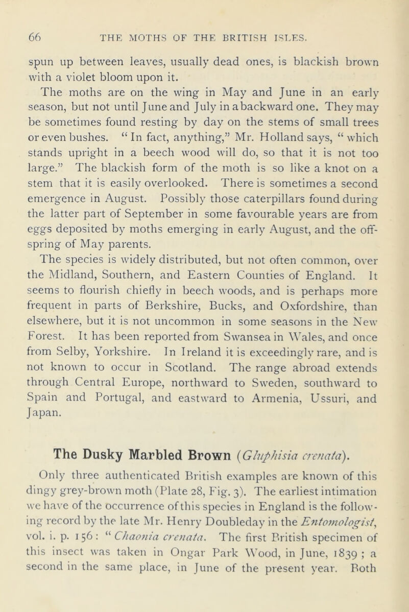 spun up between leaves, usually dead ones, is blackish brown with a violet bloom upon it. The moths are on the wing in May and June in an early season, but not until June and July in a backward one. They may be sometimes found resting by day on the stems of small trees or even bushes. “In fact, anything,” Mr. Holland says, “which stands upright in a beech wood will do, so that it is not too large.” The blackish form of the moth is so like a knot on a stem that it is easily overlooked. There is sometimes a second emergence in August. Possibly those caterpillars found during the latter part of September in some favourable years are from eggs deposited by moths emerging in early August, and the off- spring of May parents. The species is widely distributed, but not often common, over the Midland, Southern, and Eastern Counties of England. It seems to flourish chiefly in beech woods, and is perhaps more frequent in parts of Berkshire, Bucks, and Oxfordshire, than elsewhere, but it is not uncommon in some seasons in the New Forest. It has been reported from Swansea in Wales, and once from Selby, Yorkshire. In Ireland it is exceedingly rare, and is not known to occur in Scotland. The range abroad extends through Central Europe, northward to Sweden, southward to Spain and Portugal, and eastward to Armenia, Ussuri, and Japan. The Dusky Marbled Brown (Gh/phisia crenata). Only three authenticated British examples are known of this dingy grey-brown moth (Plate 28, Fig. 3). The earliest intimation we have of the occurrence of this species in England is the follow- ing record by the late Mr. Henry Doubleday in the Entomologist, vol. i. p. 156: “ Chaonia crenata. The first British specimen of this insect was taken in Ongar Park Wood, in June, 1839 > a second in the same place, in June of the present year. Both