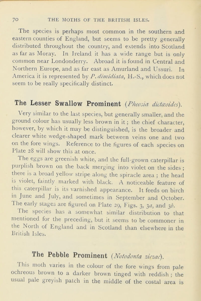 The species is perhaps most common in the southern and eastern counties of England, but seems to be pretty generally distributed throughout the country, and extends into Scotland as far as Moray. In Ireland it has a wide range but is only common near Londonderry. Abroad it is found in Central and Northern Europe, and as far east as Amurland and Ussuri. In America it is represented by P. dimidiate^ H.-S., which does not seem to be really specifically distinct. The Lesser Swallow Prominent (Pheosia dktceoides). Very similar to the last species, but generally smaller, and the giound colour has usually less brown in it ; the chief character, however, by which it may be distinguished, is the broader and clearer white wedge-shaped mark between veins one and two on the fore wings. Reference to the figures of each species on Plate 28 will show this at once. I he eggs are greenish white, and the full-grown caterpillar is purplish brown on the back merging into violet on the sides ; there is a btoad yellow stripe along the spiracle area ; the head is violet, faintly marked with black. A noticeable feature of this caterpillar is its varnished appearance. It feeds on birch in June and July, and sometimes in September and October. The eaily stages are figured on Plate 29, Figs. 3, 3#, and 3A The species has a somewhat similar distribution to that mentioned foi the preceding, but it seems to be commoner in the Noith ol England and in Scotland than elsewhere in the British Isles. The Pebble Prominent (Notodon/a zirzac). This moth varies in the colour of the fore wings from pale ochieoua brown to a darker brown tinged with reddish; the usual pale greyish patch in the middle of the costal area is