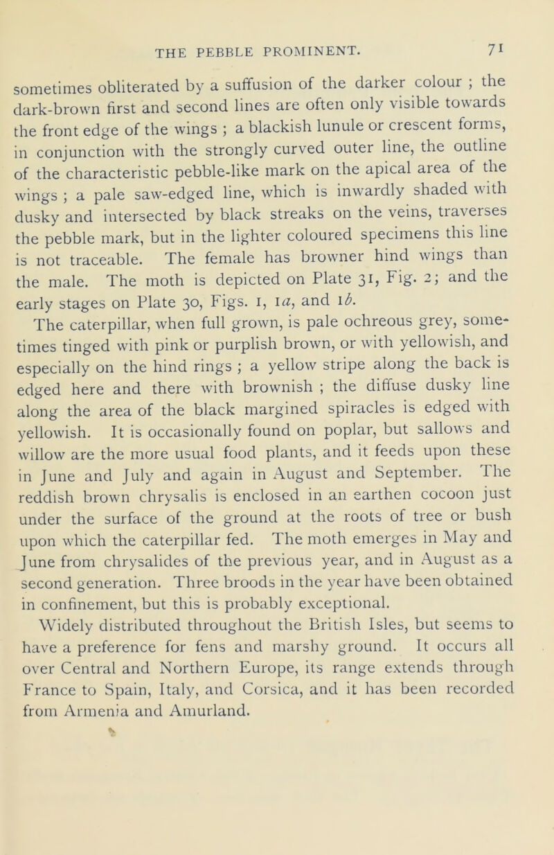 sometimes obliterated by a suffusion of the darker colour ; the dark-brown first and second lines are often only visible towards the front edge of the wings ; a blackish lunule or crescent foims, in conjunction with the strongly curved outer line, the outline of the characteristic pebble-like mark on the apical area of the wings ; a pale saw-edged line, which is inwardly shaded with dusky and intersected by black streaks on the veins, traverses the pebble mark, but in the lighter coloured specimens this line is not traceable. The female has browner hind wings than the male. The moth is depicted on Plate 31, Fig* 2; and the early stages on Plate 30, Figs. 1, 1 a, and 1 b. The caterpillar, when full grown, is pale ochreous grey, some- times tinged with pink or purplish brown, or with yellowish, and especially on the hind rings \ a yellow stripe along the back is edged here and there with brownish ; the diffuse dusky line along the area of the black margined spiracles is edged with yellowish. It is occasionally found on poplar, but sallows and willow are the more usual food plants, and it feeds upon these in June and July and again in August and September. The reddish brown chrysalis is enclosed in an earthen cocoon just under the surface of the ground at the roots of tree or bush upon which the caterpillar fed. The moth emerges in May and June from chrysalides of the previous year, and in August as a second generation. Three broods in the year have been obtained in confinement, but this is probably exceptional. Widely distributed throughout the British Isles, but seems to have a preference for fens and marshy ground. It occurs all over Central and Northern Europe, its range extends through France to Spain, Italy, and Corsica, and it has been recorded from Armenia and Anrurland.