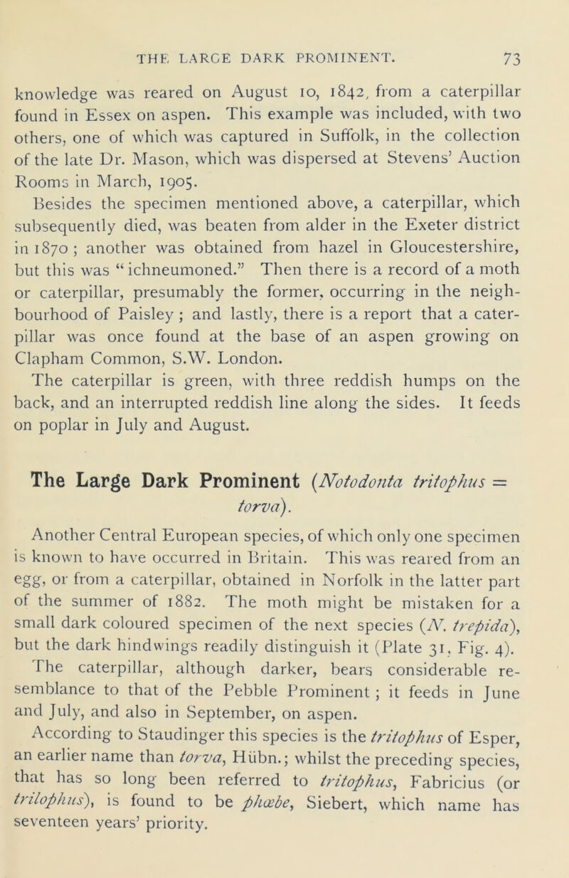 knowledge was reared on August io, 1842, from a caterpillar found in Essex on aspen. This example was included, with two others, one of which was captured in Suffolk, in the collection of the late Ur. Mason, which was dispersed at Stevens’ Auction Rooms in March, 1905. Besides the specimen mentioned above, a caterpillar, which subsequently died, was beaten from alder in the Exeter district in 1870; another was obtained from hazel in Gloucestershire, but this was “ ichneumoned.” Then there is a record of a moth or caterpillar, presumably the former, occurring in the neigh- bourhood of Paisley ; and lastly, there is a report that a cater- pillar was once found at the base of an aspen growing on Clapham Common, S.W. London. The caterpillar is green, with three reddish humps on the back, and an interrupted reddish line along the sides. It feeds on poplar in July and August. The Large Dark Prominent (Notodonta tritophus = torva). Another Central European species, of which only one specimen is known to have occurred in Britain. This was reared from an egg, or from a caterpillar, obtained in Norfolk in the latter part of the summer of 1882. The moth might be mistaken for a small dark coloured specimen of the next species (TV. trepida), but the dark hind wings readily distinguish it (Plate 31, Fig. 4). The caterpillar, although darker, bears considerable re- semblance to that of the Pebble Prominent; it feeds in June and July, and also in September, on aspen. According to Staudinger this species is the tritophus of Esper, an earlier name than torva, Hiibn.; whilst the preceding species, that has so long been referred to tritophus, Fabric)'us (or tnlophus), is found to be plurbe, Siebert, which name has seventeen years’ priority.