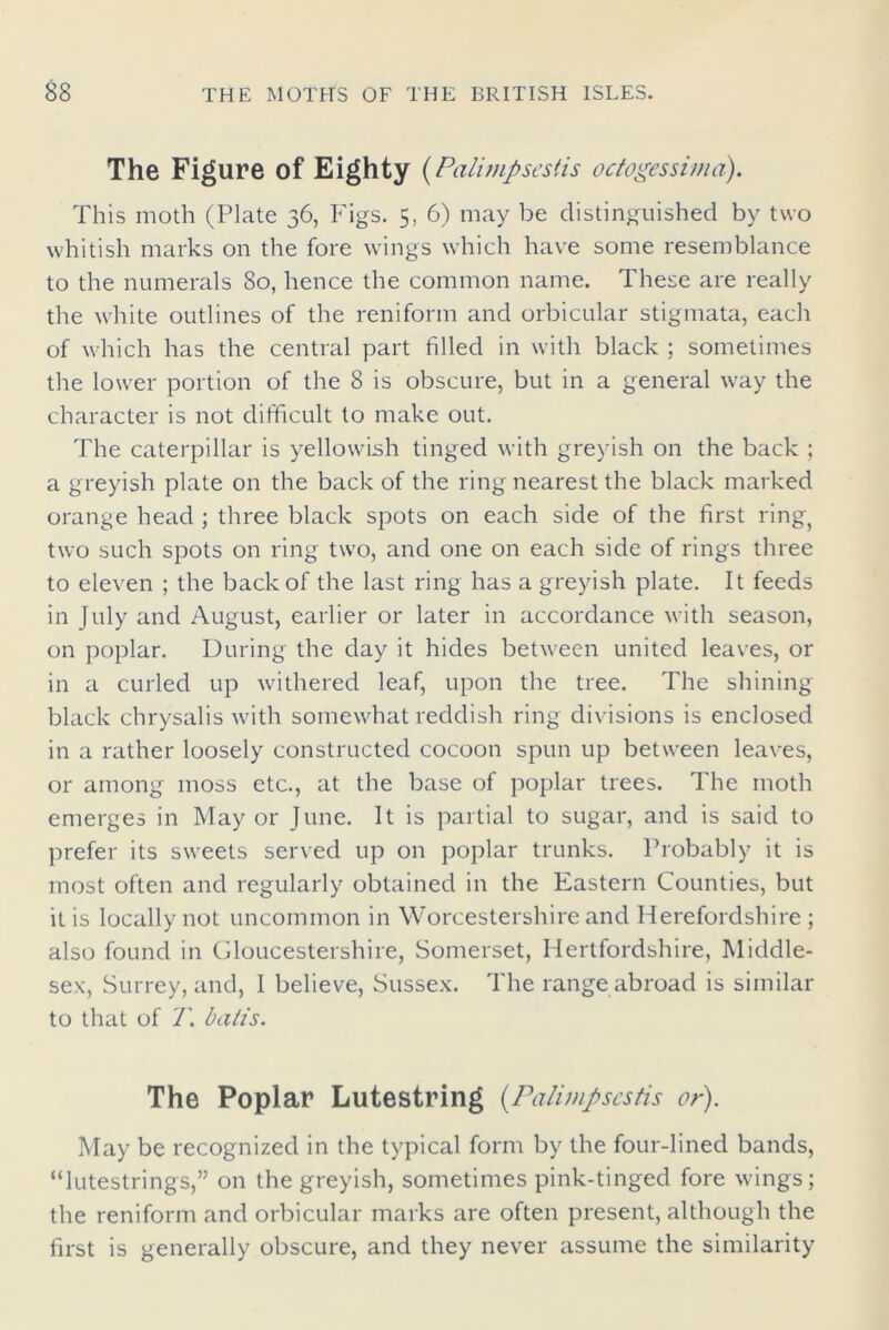 The Figure of Eighty (Palimpsestis octogessima). This moth (Plate 36, Figs. 5, 6) may be distinguished by two whitish marks on the fore wings which have some resemblance to the numerals 80, hence the common name. These are really the white outlines of the reniform and orbicular stigmata, each of which has the central part filled in with black ; sometimes the lower portion of the 8 is obscure, but in a general way the character is not difficult to make out. The caterpillar is yellowish tinged with greyish on the back ; a greyish plate on the back of the ring nearest the black marked orange head ; three black spots on each side of the first ring, two such spots on ring two, and one on each side of rings three to eleven ; the back of the last ring has a greyish plate. It feeds in July and August, earlier or later in accordance with season, on poplar. During the day it hides between united leaves, or in a curled up withered leaf, upon the tree. The shining- black chrysalis with somewhat reddish ring divisions is enclosed in a rather loosely constructed cocoon spun up between leaves, or among moss etc., at the base of poplar trees. The moth emerges in May or June. It is partial to sugar, and is said to prefer its sweets served up on poplar trunks. Probably it is most often and regularly obtained in the Eastern Counties, but it is locally not uncommon in Worcestershire and Herefordshire ; also found in Gloucestershire, Somerset, Hertfordshire, Middle- sex, Surrey, and, I believe, Sussex. The range abroad is similar to that of T. baits. The Poplar Lutestring (Palimpsestis or). May be recognized in the typical form by the four-lined bands, “lutestrings,” on the greyish, sometimes pink-tinged fore wings; the reniform and orbicular marks are often present, although the first is generally obscure, and they never assume the similarity