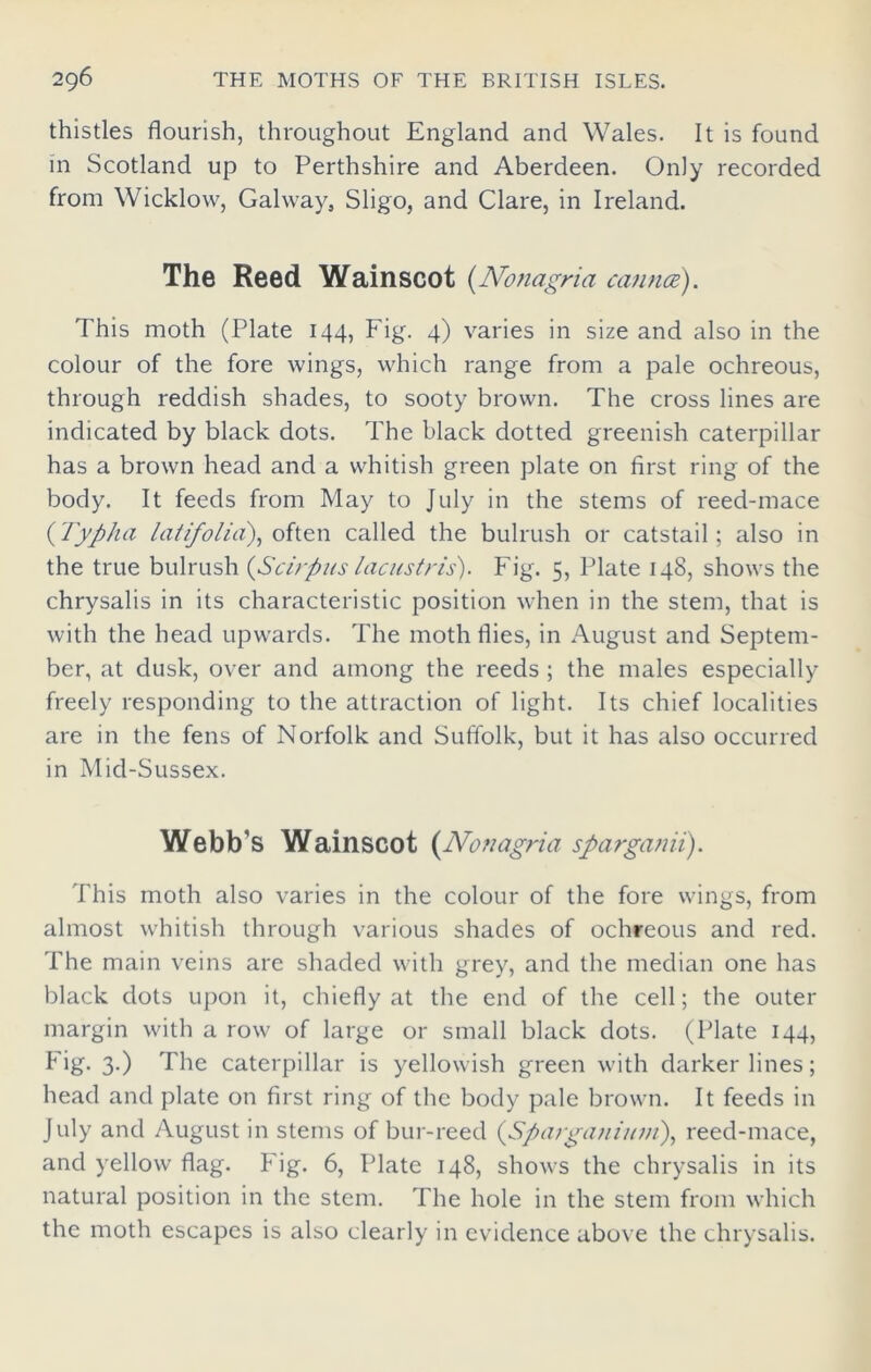 thistles flourish, throughout England and Wales. It is found in Scotland up to Perthshire and Aberdeen. Only recorded from Wicklow, Galway, Sligo, and Clare, in Ireland. The Reed Wainscot {Nonagria can nee). This moth (Plate 144, Fig. 4) varies in size and also in the colour of the fore wings, which range from a pale ochreous, through reddish shades, to sooty brown. The cross lines are indicated by black dots. The black dotted greenish caterpillar has a brown head and a whitish green plate on first ring of the body. It feeds from May to July in the stems of reed-mace (Tyfiha lat if olio), often called the bulrush or catstail; also in the true bulrush (Scirpus lacustris). Fig. 5, Plate 148, shows the chrysalis in its characteristic position when in the stem, that is with the head upwards. The moth flies, in August and Septem- ber, at dusk, over and among the reeds ; the males especially freely responding to the attraction of light. Its chief localities are in the fens of Norfolk and Suffolk, but it has also occurred in Mid-Sussex. Webb’s Wainscot (Nonagria sfargami). This moth also varies in the colour of the fore wings, from almost whitish through various shades of ochreous and red. The main veins are shaded with grey, and the median one has black dots upon it, chiefly at the end of the cell; the outer margin with a row of large or small black dots. (Plate 144, Fig. 3.) The caterpillar is yellowish green with darker lines; head and plate on first ring of the body pale brown. It feeds in July and Augustin stems of bur-reed (Spargani///n), reed-mace, and yellow flag. Fig. 6, Plate 148, shows the chrysalis in its natural position in the stem. The hole in the stem from which the moth escapes is also dearly in evidence above the chrysalis.