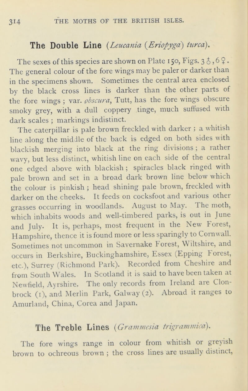 The Double Line (Leucania (.Eriopyga) turca). The sexes of this species are shown on Plate 150, Figs. 3656$. The general colour of the fore wings may be paler or darker than in the specimens shown. Sometimes the central area enclosed by the black cross lines is darker than the other parts of the fore wings ; var. pbscura, Tutt, has the fore wings obscure smoky grey, with a dull coppery tinge, much suftused with dark scales ; markings indistinct. The caterpillar is pale brown freckled with darker ; a whitish line along the middle of the back is edged on both sides with blackish merging into black at the ring divisions ; a rather wavy, but less distinct, whitish line on each side of the central one edged above with blackish ; spiracles black ringed with pale brown and set in a broad dark brown line below which the colour is pinkish ; head shining pale brown, freckled with darker on the cheeks. It feeds on cocksfoot and various other grasses occurring in woodlands. August to May. The moth, which inhabits woods and well-timbered parks, is out in June and July. It is, perhaps, most frequent in the New Forest, Hampshire, thence it is found more or less sparingly to Cornwall. Sometimes not uncommon in Savernake forest, Wiltshire, and occurs in Berkshire, Buckinghamshire, Essex (Epping foiest, etc.), Surrey (Richmond Park). Recorded from Cheshire and from South Wales. In Scotland it is said to have been taken at Newfield, Ayrshire. The only records from Ireland are Clon- brock (1), and Merlin Park, Galway (2). Abroad it ranges to Amurland, China, Corea and Japan. The Treble Lines (Grammesia trigrammkd). The fore wings range in colour from whitish or greyish brown to ochreous brown ; the cross lines are usually distinct,