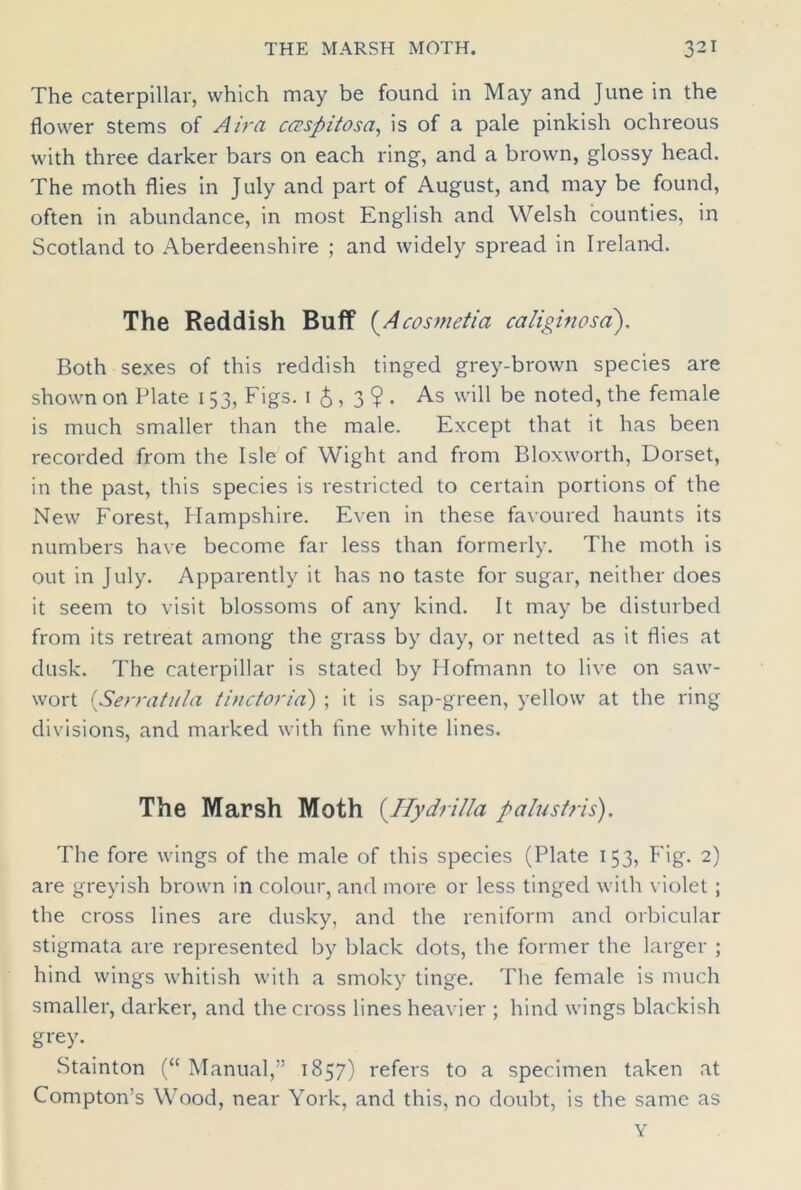 The caterpillar, which may be found in May and June in the flower stems of Air a c&sflitosa, is of a pale pinkish ochreous with three darker bars on each ring, and a brown, glossy head. The moth flies in July and part of August, and may be found, often in abundance, in most English and Welsh counties, in Scotland to Aberdeenshire ; and widely spread in Ireland. The Reddish Buff (Acosmetia caliginosd). Both sexes of this reddish tinged grey-brown species are shown on Plate 153, Figs. 1 &, 3 ? . As will be noted, the female is much smaller than the male. Except that it has been recorded from the Isle of Wight and from Bloxworth, Dorset, in the past, this species is restricted to certain portions of the New Forest, Hampshire. Even in these favoured haunts its numbers have become far less than formerly. The moth is out in July. Apparently it has no taste for sugar, neither does it seem to visit blossoms of any kind. It may be disturbed from its retreat among the grass by day, or netted as it flies at dusk. The caterpillar is stated by Hofmann to live on saw- wort (Serratula tinctoria) ; it is sap-green, yellow at the ring divisions, and marked with fine white lines. The Marsh Moth (.Hydrilla palustris). The fore wings of the male of this species (Plate 153, Fig. 2) are greyish brown in colour, and more or less tinged with violet; the cross lines are dusky, and the reniform and orbicular stigmata are represented by black dots, the former the larger ; hind wings whitish with a smoky tinge. The female is much smaller, darker, and the cross lines heavier ; hind wings blackish grey. Stainton (“ Manual,” 1857) refers to a specimen taken at Compton’s Wood, near York, and this, no doubt, is the same as Y