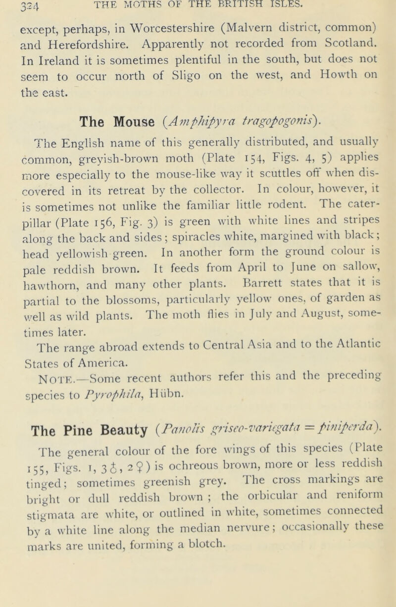 except, perhaps, in Worcestershire (Malvern district, common) and Herefordshire. Apparently not recorded from Scotland. In Ireland it is sometimes plentiful in the south, but does not seem to occur north of Sligo on the west, and Howth on the east. The Mouse (Amphipyra tragopogonis). The English name of this generally distributed, and usually common, greyish-brown moth (Plate 15Figs. 4, 5) applies more especially to the mouse-like way it scuttles oft' when dis- covered in its retreat by the collector. In colour, however, it is sometimes not unlike the familiar little rodent. The cater- pillar (Plate 156, Fig. 3) is green with white lines and stripes along the back and sides ; spiracles white, margined with black; head yellowish green. In another form the ground coloui is pale reddish brown. It feeds from Apnl to June on sallow, hawthorn, and many other plants. Barrett states that it is partial to the blossoms, particularly yellow ones, of garden as well as wild plants. The moth Hies in July and August, some- times later. The range abroad extends to Cential Asia and to the Atlantic States of America. NOTE.—Some recent authors refer this and the preceding species to Pyroglula, Hiibn. The Pine Beauty (Panoiis griseo-variegata =pimperda). The general colour of the fore wings of this species (Plate 155, Figs. 1, 36, 2?) is ochreous brown, more or less reddish tinged; sometimes greenish grey. I he cross maikings aie bright or dull reddish brown ; the orbicular and reniform stigmata are white, or outlined in white, sometimes connected by a white line along the median nervure; occasionally these marks are united, forming a blotch.