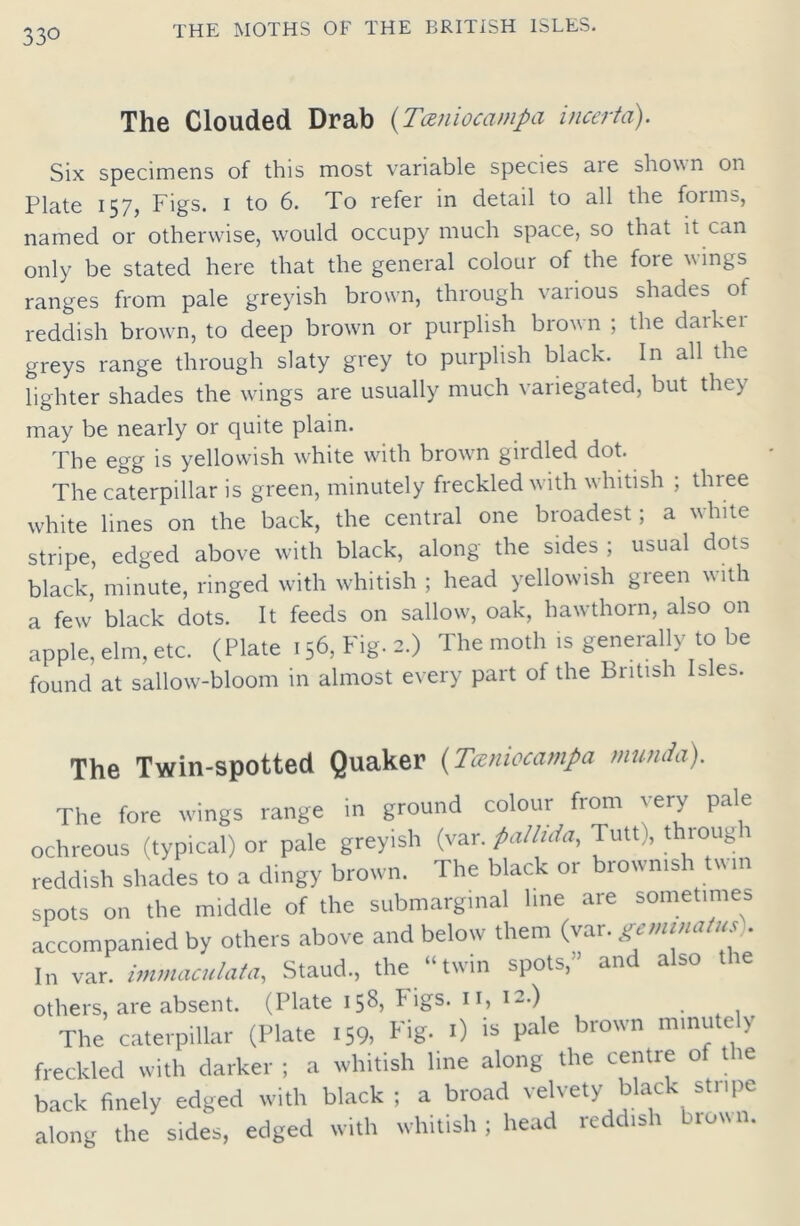 33° The Clouded Drab (Tcmiocampa incertd). Six specimens of this most variable species aie shown on Plate 157, Figs. 1 to 6. To refer in detail to all the forms, named or otherwise, would occupy much space, so that it can only be stated here that the general colour of the foie wings ranges from pale greyish brown, through various shades of reddish brown, to deep brown or purplish brown ; the darker greys range through slaty grey to purplish black. In all the lighter shades the wings are usually much variegated, but they may be nearly or quite plain. The egg is yellowish white with brown girdled dot. The caterpillar is green, minutely freckled wTith whitish ; thiee white lines on the back, the central one broadest; a white stripe, edged above with black, along the sides ; usual dots black, minute, ringed with whitish ; head yellowish green with a few black dots. It feeds on sallow', oak, hawthorn, also on apple, elm, etc. (Plate 156, Fig. 2.) The moth is generally to be found at sallow-bloom in almost every part of the British Isles. The Twin-spotted Quaker (Tmiocampa tnunda). The fore wings range in ground colour from eery pale ochreous (typical) or pale greyish (var. pallida, Tutt), throug 1 reddish shades to a dingy brown. The black or brownish twin spots on the middle of the submarginal line are sometimes accompanied by others above and below them (var. g*™™***\ In var. immaculata, Staud., the “twin spots, and also ti others, are absent. (Plate 158, bigs. 11, 12.) The caterpillar (Plate 159, Fig. 1) is pale brown minute y freckled with darker; a whitish line along the centre o tie back finely edged with black; a broad velvety black stripe along the sides, edged with whitish ; head reddish brown.