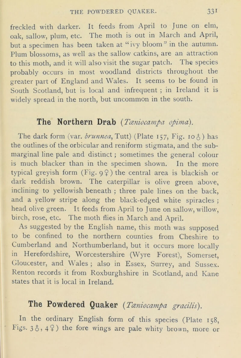 freckled with darker. It feeds from April to June on elm, oak, sallow, plum, etc. The moth is out in March and April, but a specimen has been taken at “ ivy bloom ’ in the autumn. Plum blossoms, as well as the sallow catkins, are an attraction to this moth, and it will also visit the sugar patch. The species probably occurs in most woodland districts throughout the greater part of England and Wales. It seems to be found in South Scotland, but is local and infrequent ; in Ireland it is widely spread in the north, but uncommon in the south. The Northern Drab (Taniocampa opima). The dark form (var. brunnea, Tutt) (Plate 157, Fig. 10 £) has the outlines of the orbicular and reniform stigmata, and the sub- marginal line pale and distinct; sometimes the general colour is much blacker than in the specimen shown. In the more typical greyish form (Fig. 9$) the central area is blackish or dark reddish brown. The caterpillar is olive green above, inclining to yellowish beneath ; three pale lines on the back, and a yellow stripe along the black-edged white spiracles ; head olive green. It feeds from April to June on sallow, willow, birch, rose, etc. The moth flies in March and April. As suggested by the English name, this moth was supposed to be confined to the northern counties from Cheshire to Cumberland and Northumberland, but it occurs more locally in Herefordshire, Worcestershire (Wyre Forest), Somerset, Gloucester, and Wales ; also in Essex, Surrey, and Sussex. Renton records it from Roxburghshire in Scotland, and Kane states that it is local in Ireland. The Powdered Quaker (Tceniocampa gracilis). In the ordinary English form of this species (Plate 158, £'os> 365 4?) the fore wings are pale whity brown, more or