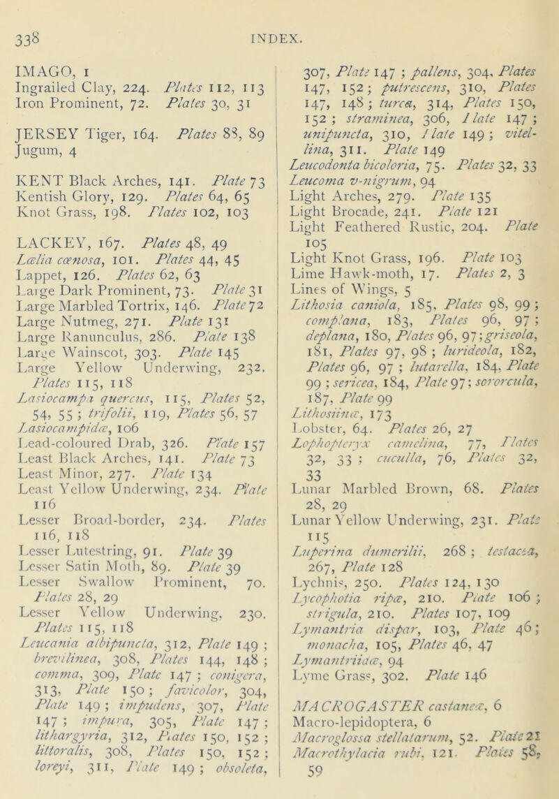 IMAGO, i Ingrailed Clay, 224. Plates 112, 113 Iron Prominent, 72. Plates 30, 31 JERSEY Tiger, 164. Plates 83, 89 Jugum, 4 KENT Black Arches, 141. Plate 73 Kentish Glory, 129. Plates 64, 65 Knot Grass, 198. Plates 102, 103 LACKEY, 167. Plates 48, 49 Lcelia coenosa, 101. Plates 44, 45 Lappet, 126. Plates 62, 63 Laige Dark Prominent, 73. Plate 31 Large Marbled Tortrix, 146. Platc]2 Large Nutmeg, 271. Plate 131 Large Ranunculus, 286. Plate 138 Larue Wainscot, 303. Plate 145 Large Yellow Underwing, 232. Plates 115, 118 Lasiocampa qucrcus, 115, Plates 52, 54? 55 ; trifolii, 119, Plates 56, 57 Lasiocampidcc, 106 Lead-coloured Drab, 326. Plate 157 Least Black Arches, 141. Plate 73 Least Minor, 277. Plate 134 Least Yellow Underwing, 234. Plate 116 Lesser Broad-border, 234. Plates 116, 118 Lesser Lutestring, 91. Plate 39 Lesser Satin Moth, 89. Plate 39 Lesser Swallow Prominent, 70. Plates 28, 29 Lesser Yellow Underwing, 230. Plates 115, 118 Leucania atbipuncta, 312, Plate 149 ; brevilinea, 308, Plates 144, 148 ; comma, 309, Plate 147 ; conigcra, 313, Plate 150; favicolor, 304, Plate 149 ; impudens, 307, Plate 147 ; impura, 305, 147 ; lithargyria, 312, Plates 150, 152; littoralis, 308, Plates 150, 152; 311, /Ye/* 149; obsoleta, 307, Plate 147 ; palle?is, 304. /Yafcr 147, 152; putrescens, 310, Plates 147, 148; turca, 314, Plates 150, 152 ; stramifiea, 306, 1 late 147 ; unipuncta, 310, Jlate 149; vitel- lina, 311. Plate 149 Lencodontabicoloria, 75. Plates 32, 33 Leucoma v-nigrum, 94 Light Arches, 279. /Ytfh? 135 Light Brocade, 241. 121 Light Feathered Rustic, 204. Plate 105 Light Knot Grass, 196. /’/tffe 103 Lime Hawk-moth, 17* Platts 2, 3 Lines of Wings, 5 Lithosia canio/a, 185. Plates 98, 99; comp!ana, 183, Plates 96, 97 ; deplana, 180, Plates 96, 97\griseola, 181, Plates 97, 98 ; lurideola, 182, Plates 96, 97 ; lutarella, 184, Plate 99 ; sericea, 184, Plate 97; sororcula, 187, Plate 99 Lithosiintz, 173 Lobster, 64. Plates 26, 27 Lophoplcryx camelina, 77, Plates 32, 33 ; cuculla, 76, Plates 32, 33 Lunar Marbled Brown, 68. Plates 28, 29 Lunar Yellow Underwing, 231. ZYmD IT5 La pen na dumerthi, 268 ; lest act. a, 267, Plate 128 Lychnis, 250. Plates 124, 130 Lycophotia ripce, 210. Piate 106 ; strigula, 210. Plates 107, 109 Lymantria dispar, 103, Plate 46; monacha, 105, Plates 46, 47 Lymantriictce, 94 Lyme Grass, 302. Plate 146 MACROGASTER castancx, 6 Macro-lepidoptera, 6 Macroglossa stellalarum, 52. Plate 21 Macrothylacia rubi, 121 Plaits 5§r 59