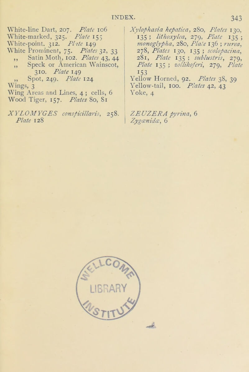 White-line Dart, 207. Plate 106 White-marked, 325. Plate 155 White-point. 312. Plate 149 White Prominent, 75. Plates 32, 33 ,, Satin Moth, 102. Plates 43, 44 ,, Speck or American Wainscot, 310. Plate 149 ,, Spot, 249. Plate 124 Wings, 3 Wing Areas and Lines, 4 ; cells, 6 Wood Tiger, 157. Plates 80, 81 XYLOMYGES consfidllaris, 258. Plate 128 j Xylophasia hepatica, 280, Plates 130, 135 ; lithoxylea, 279, Plate 135 ; monoglypha, 280, Plate 136 ; ntrea, 278, Plates 130, 135 ; scolopacina, 281, Plate 135 ; sublustris, 279, Plate 135 ; zollikoferi, 279, Plate 153 Yellow Horned, 92. Plates 38, 39 Yellow-tail, 100. Plates 42, 43 Yoke, 4 ZEUZERA pyrina, 6 Zygcenida?, 6