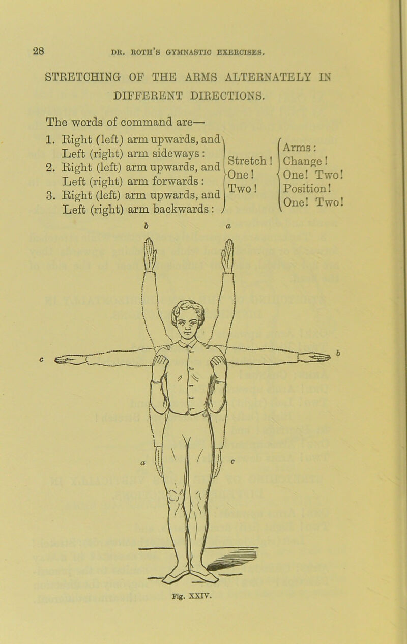 STRETCHING OP THE ARMS ALTERNATELY IN DIFFERENT DIRECTIONS. The words of command are— 1. Eight (left) arm upwards, and^ Left (right) arm sideways : 2. Eight (left) arm upwards, and Left (right) arm forwards : 3. Eight (left) arm upwards, and Left (right) arm backwards : b Stretch! One! Two! Arms: Change! ^One! Two! Position! One! Two!