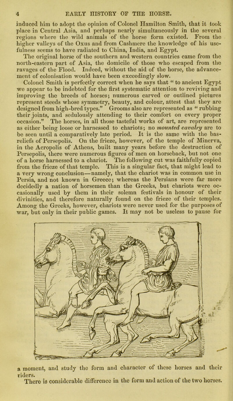 induced him to adopt the opinion of Colonel Hamilton Smith, that it took place in Central Asia, and perhaps nearly simultaneously in the several regions where the wild animals of the horse form existed. From the higher valleys of the Oxus and from Cashmere the knowledge of his use- fulness seems to have radiated to China, India, and Egypt. The original horse of the southern and western countries came from the north-eastern part of Asia, the domicile of those who escaped from the ravages of the Flood. Indeed, without the aid of the horse, the advance- ment of colonisation would have been exceedingly slow. Colonel Smith is perfectly correct when he says that “ to ancient Egypt we appear to be indebted for the first systematic attention to reviving and improving the breeds of horses; numerous carved or outlined pictures represent steeds whose symmetry, beauty, and colour, attest that they are designed from high-bred types.’’ Grooms also are represented as “ rubbing their joints, and sedulously attending to their comfort on every proper occasion.” The horses, in all those tasteful works of art, are represented as either being loose or harnessed to chariots; no rnounted cavalry are to be seen until a comparatively late period. It is the same with the bas- reliefs of Persepolis. On the frieze, however, of the temple of Minerva, in the Acropolis of Athens, built many years before the destruction of Persepolis, there were numerous figures of men on horseback, but not one of a horse harnessed to a chariot. The following cut was faithfully copied from the frieze of that temple. This is a singular fact, that might lead to a very wrong conclusion—namely, that the chariot was in common use in Persia, and not known in Greece; whereas the Persians were far more decidedly a nation of horsemen than the Greeks, but chariots were oc- casionally used by them in their solemn festivals in honour of their divinities, and therefore naturally found on the frieze of their temples. Among the Greeks, however, chariots were never used for the purposes of war, but only in their public games. It may not be useless to pause for ul a moment, and study the form and character of these horses and their riders. There is considerable difference in the form and action of the two horses.