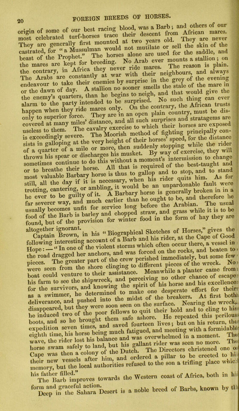 origin of some of our best racing blood, most celebrated tuif-horses ra vears old They are never They are generally first mounted * J® ^ or sell the7 skin of the castrated for « a Mussulman ld^ ^ ^ uged for the saddle, and beast of the Prophet. A No Arab ever mounts a stallion; on the mares are ^ept for bree g ^ The reagon s plain. the contrary, in Africa ' 1 J with their neighbours, and always The Arabs are constantly at. war witn tneir S £ the evening endeavour to take their enemies y surpri ^ 0f the mare in or the dawn of day. A stallion^no .soone’ thTwould give the the enemy’s quarters, than he begins • ? ’ -m-q such thing can ever alarm to the party intended to be s“P^0n^rary!lL A?fican trusts happen when they nde mares only, ^n the ^ ^ ^ only to superior force. ^ Ih y P * riges and stratagems are covered at many miles distai , which their horses are exposed useless to them. The Sing principally con- is exceedingly severe. The . i ? speed, for the distance sists in galloping at the very height^of their “ 3peed,m rider of a quarter of a mile or more, then suddenly they wU1 throws his spear or discharges is m moinent’s intermission to change sometimes continue to do this; without,best.taught aSd is £3 s -»— still, all the day if it is necessar ^ unpardonable fault were trotting, cantering, or amb mg, ^ borse is generally broken in in a he ever to be guilty of it. A Barbary norse fe j therefore he far severer way, and much earlier than heo^Mto^^. The usual usually becomes unfit for sei vic £ straw and grass while it is to be KVSA™ •' ‘V ^ - •'SS SS* >. «• “ “ngjilKXfJg^f;To Ti following interesting ° ;if|1[n_!'wi,iol, often (tour tliere, a oessel in “> ssi'‘‘p£ pieces. g . clinging to different pieces of the wreck. No a swimmer, he determined to make one despera e effo. t ^ ^ as a swimmer he ^dst of the breakers. At first both! deliverance and P“sh^d seen on tbe surface. Nearing the wreck, disappeared but they we ^ to quit their hold and to cling to his- he induced two of the 1 ashore. He repeated this perilous ^ boots, and so he broug i ed fourteen lives. but on his return, the expedition seven times, an < and meeting with a formidable eighth time, his horse being; mucha moment. Th« wave, the rider iost his balance a rider was seen no more. Thn<| S: ttorTbu^e Ictrauthor’ities refused to the son a trifling place wide W TheX^fmproves towards the Western coast of Africa, both in hi, f0DeeT'nrthflhara0Descrt is a noble breed of Barbs, known by tl