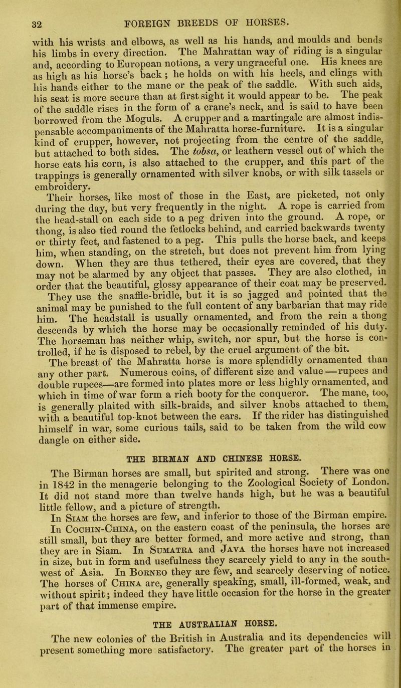 with liis wrists and elbows, as well as his hands, and moulds and bends his limbs in every direction. The Mahrattan way of riding is a singular and, according to European notions, a very ungraceful one. His knees are as high as his horse’s back ; he holds on with his heels, and clings with his hands either to the mane or the peak of the saddle. With such aids, his seat is more secure than at first sight it would appear to be. The peak of the saddle rises in the form of a crane’s neck, and is said to have been borrowed from the Moguls. A crupper and a martingale are almost indis- pensable accompaniments of the Mahratta horse-furniture. It is a singular kind of crupper, however, not projecting from the centre of the saddle, but attached to both sides. The tobsa, or leathern vessel out of which the horse eats his corn, is also attached to the crupper, and this part of the trappings is generally ornamented with silver knobs, or with silk tassels or embroidery. Their horses, like most of those in the East, are picketed, not only during the day, but very frequently in the night. A rope is carried from the head-stall on each side to a peg driven into the ground. A rope, or thong, is also tied round the fetlocks behind, and carried backwards twenty or thirty feet, and fastened to a peg. This pulls the horse back, and keeps him, when standing, on the stretch, but does not prevent him from lying down. When they are thus tethered, their eyes are covered, that they may not be alarmed by any object that passes. They are also clothed, in order that the beautiful, glossy appearance of their coat may be preserved. They use the snaffle-bridle, but it is so jagged and pointed that the animal may be punished to the full content of any barbarian that may ride him. The headstall is usually ornamented, and from the rein a thong descends by which the horse may be occasionally reminded of his duty. The horseman has neither whip, switch, nor spur, but the horse is con- trolled, if he is disposed to rebel, by the cruel argument of the bit. The breast of the Mahratta horse is more splendidly ornamented than any other part. Numerous coins, of different size and value—rupees and double rupees—are formed into plates more or less highly ornamented, and which in time of war form a rich booty for the conqueror. The mane, too, is generally plaited with silk-braids, and silver knobs attached to them, with a beautiful top- knot between the ears. If the rider has distinguished himself in war, some curious tails, said to be taken from the wild cow dangle on either side. THE BIRMAN AND CHINESE HORSE. The Birman horses are small, but spirited and strong. There was one in 1842 in the menagerie belonging to the Zoological Society ol London. It did not stand more than twelve hands high, but he was a beautiiul little fellow, and a picture of strength. In Siam the horses are few, and inferior to those of the Birman empire. In Cochin-China, on the eastern coast of the peninsula, the horses are still small, but they are better formed, and more active and strong, than they are in Siam. In Sumatra and Java the horses have not increased in size, but in form and usefulness they scarcely yield to any in the south- west of Asia. In Borneo they are few, and scarcely deserving of notice. The horses of China are, generally speaking, small, ill-formed, weak, and without spirit; indeed they have little occasion for the horse in the greater part of that immense empire. THE AUSTRALIAN HORSE. The new colonies of the British in Australia and its dependencies will present something more satisfactory. The greater part of the horses in