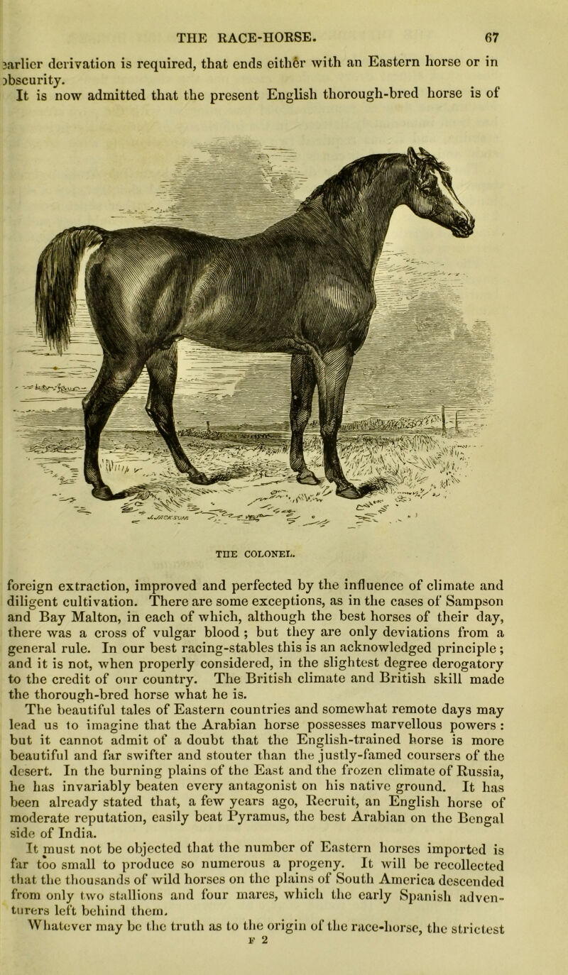 3arlier derivation is required, that ends either with an Eastern horse or in obscurity. It is now admitted that the present English thorough-bred horse is of TOE COLONEL. foreign extraction, improved and perfected by the influence of climate and diligent cultivation. There are some exceptions, as in the cases of Sampson and Bay Malton, in each of which, although the best horses of their day, there was a cross of vulgar blood ; but they are only deviations from a general rule. In our best racing-stables this is an acknowledged principle ; and it is not, when properly considered, in the slightest degree derogatory to the credit of our country. The British climate and British skill made the thorough-bred horse what he is. The beautiful tales of Eastern countries and somewhat remote days may lead us to imagine that the Arabian horse possesses marvellous powers : but it cannot admit of a doubt that the English-trained horse is more beautiful and far swifter and stouter than the justly-famed coursers of the desert. In the burning plains of the East and the frozen climate of Russia, he has invariably beaten every antagonist on his native ground. It has been already stated that, a few years ago, Recruit, an English horse of moderate reputation, easily beat Ryramus, the best Arabian on the Bengal side of India. It must not be objected that the number of Eastern horses imported is far too small to produce so numerous a progeny. It will be recollected that the thousands of wild horses on the plains of South America descended from only two stallions and four mares, which the early Spanish adven- turers left behind them. Whatever may be the truth as to the origin of the race-liorse, the strictest