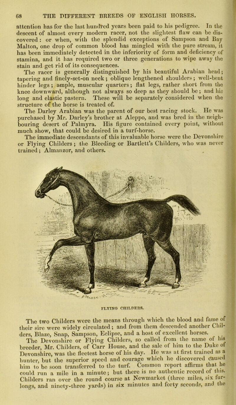 attention has for the last hundred years been paid to his pedigree. In the descent of almost every modern racer, not the slightest flaw can be dis- covered : or when, with the splendid exceptions of Sampson and Bay Malton, one drop of common blood has mingled with the pure stream, it has been immediately detected in the inferiority of form and deficiency of stamina, and it has required two or three generations to wipe away the stain and get rid of its consequences. The racer is generally distinguished by his beautiful Arabian head; tapering and finely-set-on neck ; oblique lengthened shoulders ; well-bent hinder legs ; ample, muscular quarters; flat legs, rather short from the knee downward, although not always so deep as they should be; and his long and elastic pastern. These will be separately considered when the structure of the horse is treated of. The Darley Arabian was the parent of our best racing stock. He was purchased by Mr. Darley’s brother at Aleppo, and was bred in the neigh- bouring desert of Palmyra. His figure contained every point, without much show, that could be desired in a turf-horse. The immediate descendants of this invaluable horse were the Devonshire or Flying Childers ; the Bleeding or Bartlett’s Childers, who was never trained ; Almanzor, and others. FLYING CHILDERS. The two Childers were the means through which the blood and fame of their sire were widely circulated; and from them descended another Chil- ders, Blaze, Snap, Sampson, Hclipse, and a host of excellent horses. The Devonshire or Flying Childers, so called from the name of his breeder, Mr. Childers, of Carr House, and the sale of him to the Duke of Devonshire, was the fleetest horse ot his day. He was at first trained as a hunter, but the superior speed and courage which he discovered caused him to be soon transferred to the turf. Common report affirms that he could run a mile in a minute; but there is no authentic record ot this. Childers ran over the round course at Newmarket (three miles, six fur- longs, and ninety-three yards) in six minutes and forty seconds, and the
