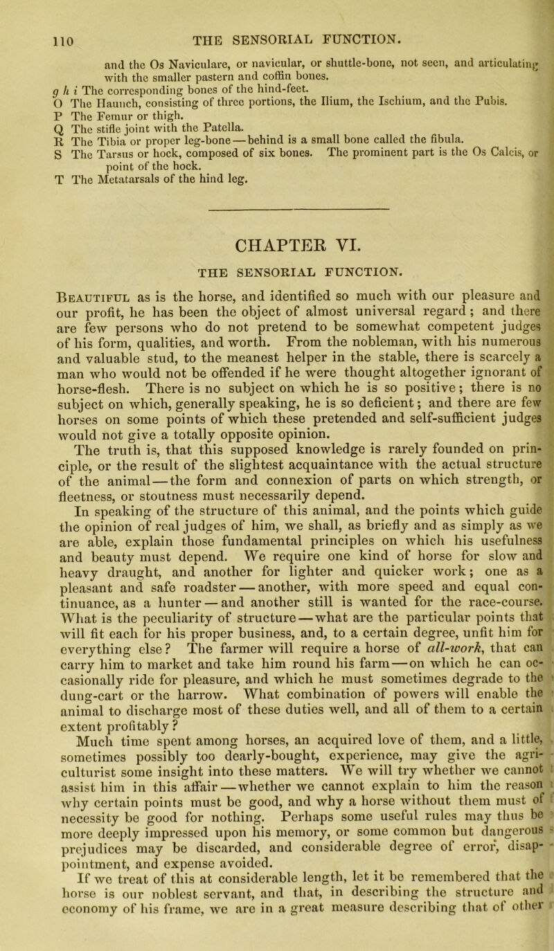 mid the Os Naviculare, or navicular, or shuttle-bone, not seen, and articulating with the smaller pastern and coffin bones. g h i The corresponding bones of the hind-feet. O The Haunch, consisting of three portions, the Ilium, the Ischium, and the Pubis. P The Femur or thigh. Q The stifle joint with the Patella. R The Tibia or proper leg-bone — behind is a small bone called the fibula. S The Tarsus or hock, composed of six bones. The prominent part is the Os Calcis, or point of the hock. T The Metatarsals of the hind leg. CHAPTER VI. THE SENSORIAL FUNCTION. Beautiful as is the horse, and identified so much with our pleasure and our profit, he has been the object of almost universal regard ; and there are few persons who do not pretend to be somewhat competent judges of his form, qualities, and worth. From the nobleman, with his numerous and valuable stud, to the meanest helper in the stable, there is scarcely a man who would not be offended if he were thought altogether ignorant of horse-flesh. There is no subject on which he is so positive; there is no subject on which, generally speaking, he is so deficient; and there are few horses on some points of which these pretended and self-sufficient judges would not give a totally opposite opinion. The truth is, that this supposed knowledge is rarely founded on prin- ciple, or the result of the slightest acquaintance with the actual structure of the animal — the form and connexion of parts on which strength, or fleetness, or stoutness must necessarily depend. In speaking of the structure of this animal, and the points which guide the opinion of real judges of him, we shall, as briefly and as simply as we are able, explain those fundamental principles on which his usefulness and beauty must depend. We require one kind of horse for slow and heavy draught, and another for lighter and quicker work; one as a pleasant and safe roadster — another, with more speed and equal con- tinuance, as a hunter — and another still is wanted for the race-course. What is the peculiarity of structure — what are the particular points that will fit each for his proper business, and, to a certain degree, unfit him for everything else ? The farmer will require a horse of all-ivork, that can carry him to market and take him round his farm — on which he can oc- casionally ride for pleasure, and which he must sometimes degrade to the dung-cart or the harrow. What combination of powers will enable the animal to discharge most of these duties well, and all of them to a certain extent profitably ? Much time spent among horses, an acquired love of them, and a little, sometimes possibly too dearly-bought, experience, may give the agri- culturist some insight into these matters. We will try whether we cannot assist him in this affair—whether we cannot explain to him the reason why certain points must be good, and why a horse without them must of necessity be good for nothing. Perhaps some useful rules may thus be more deeply impressed upon his memory, or some common but dangerous prejudices may be discarded, and considerable degree of error, disap- pointment, and expense avoided. If we treat of this at considerable length, let it bo remembered that the horse is our noblest servant, and that, in describing the structure and economy of his frame, we are in a great measure describing that ot other