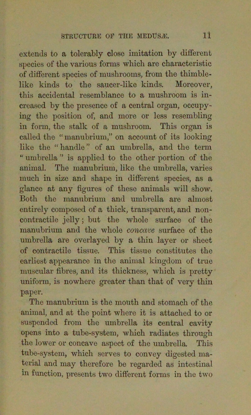 extends to a tolerably close imitation by different species of the various forms which are characteristic of different species of mushrooms, from the thimble- like kinds to the saucer-like kinds. Moreover, this accidental resemblance to a mushroom is in- creased by the presence of a central organ, occupy- ing the position of, and more or less resembling in form, the stalk of a mushroom. This organ is called the “ manubrium,” on account of its looking like the “handle” of an umbrella, and the term “ umbrella ” is applied to the other portion of the animal. The manubrium, like the umbrella, varies much in size and shape in different species, as a glance at any figures of these animals will show. Both the manubrium and umbrella are almost entirely composed of a thick, transparent, and non- contractile jelly; but the whole surface of the manubrium and the whole concave surface of the umbrella are overlayed by a thin layer or sheet of contractile tissue. This tissue constitutes the earliest appearance in the animal kingdom of true muscular fibres, and its thickness, which is pretty uniform, is nowhere greater than that of very thin paper. The manubrium is the mouth and stomach of the animal, and at the point where it is attached to or suspended from the umbrella its central cavity opens into a tube-system, which radiates through the lower or concave aspect of the umbrella. This tube-system, which serves to convey digested ma- terial and may therefore be regarded as intestinal in function, presents two different forms in the two