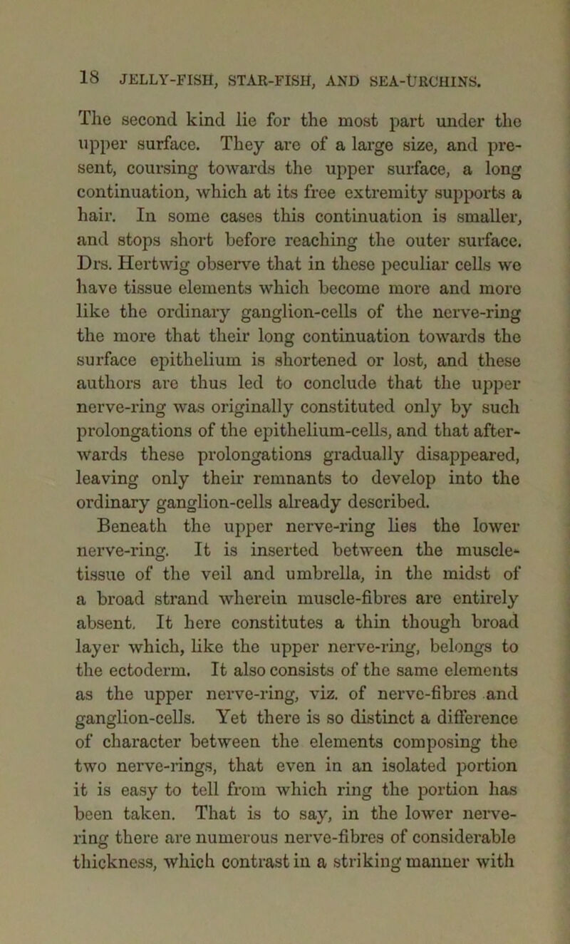 The second kind lie for the most part under the upper surface. They are of a large size, and pre- sent, coursing towards the upper surface, a long continuation, which at its free extremity supports a hair. In some cases this continuation is smaller, and stops short before reaching the outer surface. Drs. Hertwig observe that in these peculiar cells wo have tissue elements which become more and more like the ordinary ganglion-cells of the nerve-ring the more that their long continuation towards the surface epithelium is shortened or lost, and these authors are thus led to conclude that the upper nerve-ring was originally constituted only by such pi’olongations of the epitlielium-cells, and that after- wards these prolongations gradually disappeared, leaving only their remnants to develop into the ordinary ganglion-cells already described. Beneath the upper nerve-ring lies the lower nerve-ring. It is inserted between the muscle- tissue of the veil and umbrella, in the midst of a broad strand wherein muscle-fibres are entirely absent. It here constitutes a thin though broad layer which, like the upper nerve-ring, belongs to the ectoderm. It also consists of the same elements as the upper nerve-ring, viz. of nerve-fibres and ganglion-cells. Yet there is so distinct a difference of character between the elements composing the two nerve-rings, that even in an isolated portion it is easy to tell from which ring the portion has been taken. That is to say, in the lower nerve- ring there are numerous nerve-fibres of considerable thickness, which contrast in a striking maimer with