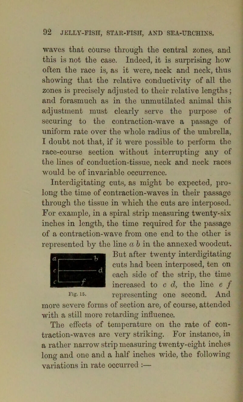 waves that course through the central zones, and this is not the case. Indeed, it is surprising how often the race is, as it were, neck and neck, thus showing that the relative conductivity of all the zones is precisely adjusted to their relative lengths; and forasmuch as in the unmutilated animal this adjustment must clearly serve the purpose of securing to the contraction-wave a passage of uniform rate over the whole radius of the umbrella, I doubt not that, if it were possible to perform the race-course section without interrupting any of the lines of conduction-tissue, neck and neck races would be of invariable occurrence. Interdigitating cuts, as might be expected, pro- long the time of contraction-waves in their passage through the tissue in which the cuts are interposed. For example, in a spiral strip measuring twenty-six inches in length, the time required for the passage of a contraction-wave from one end to the other is represented by the line a b in the annexed woodcut. But after twenty interdigitating cuts had been interposed, ten on each side of the strip, the time increased to c d, the line e f more severe forms of section are, of course, attended with a still more retarding influence. The effects of temperature on the rate of con- traction-waves are very striking. For instance, in a rather narrow strip measuring twenty-eight inches long and one and a half inches wide, the following variations in rate occurred :—