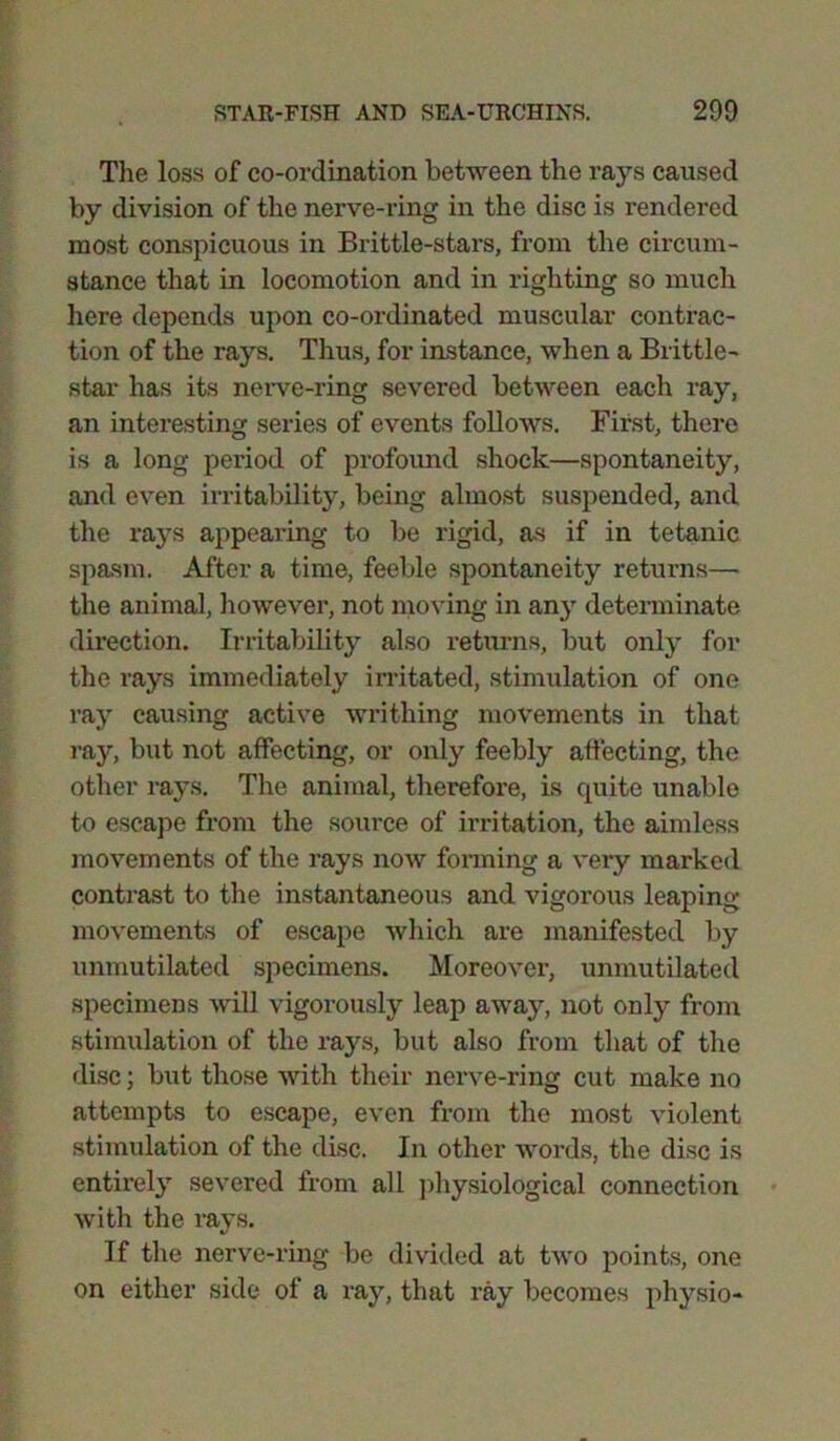 The loss of co-ordination between the rays caused by division of the nerve-ring in the disc is rendered most conspicuous in Brittle-stars, from the circum- stance that in locomotion and in righting so much here depends upon co-ordinated muscular contrac- tion of the rays. Thus, for instance, when a Brittle- star has its nerve-ring severed between each ray, an interesting series of events follows. First, there is a long period of profound shock—spontaneity, and even irritability, being almost suspended, and the rays appearing to be rigid, as if in tetanic spasm. After a time, feeble spontaneity returns— the animal, however, not moving in any determinate direction. Irritability also returns, but only for the rays immediately irritated, stimulation of one ray causing active writhing movements in that ray, but not affecting, or only feebly affecting, the other rays. The animal, therefore, is quite unable to escape from the source of irritation, the aimless movements of the rays now forming a very marked contrast to the instantaneous and vigorous leaping movements of escape which are manifested by unmutilated specimens. Moreover, unmutilated specimens will vigorously leap away, not only from stimulation of the rays, but also from that of the disc; biit those with their nerve-ring cut make no attempts to escape, even from the most violent stimulation of the disc. In other words, the disc is entirely severed from all physiological connection with the rays. If the nerve-ring be divided at two points, one on either side of a ray, that ray becomes physio-