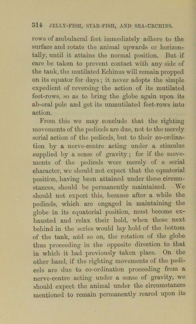 rows of ambulacral feet immediately adhere to the surface and rotate the animal upwards or horizon- tally, until it attains the normal position. But if care be taken to prevent contact with any side of the tank, the mutilated Echinus will remain propped on its equator for days; it never adopts the simple expedient of reversing the action of its mutilated feet-rows, so as to bring the globe again upon its ab-oral pole and get its unmutilated feet-rows into action. From this we may conclude that the righting movements of the pedicels arc due, not to the merely serial action of the pedicels, but to their co-ordina- tion by a nerve-centre acting under a stimulus supplied by a sense of gravity; for if the move- ments of the pedicels were merely of a serial character, we should not expect that the equatorial position, having been attained under these circum- stances, should be permanently maintained. We should not expect this, because after a while the pedicels, which are engaged in maintaining the globe in its equatorial position, must become ex- hausted and relax their hold, when those next behind in the series would lay hold of the bottom of the tank, aiid so on, the rotation of the globe thus proceeding in the opposite direction to that in which it had previously taken place. On the other hand, if the righting movements of the pedi- cels are due to co-ordination proceeding from a nerve-centre acting under a sense of gravity, we should expect the animal under the circumstances mentioned to remain permanently reared upon its